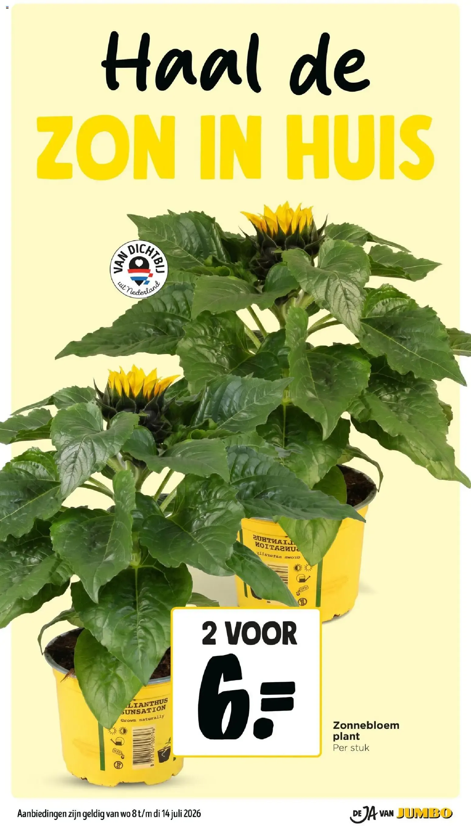 Jumbo: Campina Langlekker 2+3 GRATIS - Nóg meer voorraad pakken van 8 juli tot 14 juli 2026 - Folder pagina 6