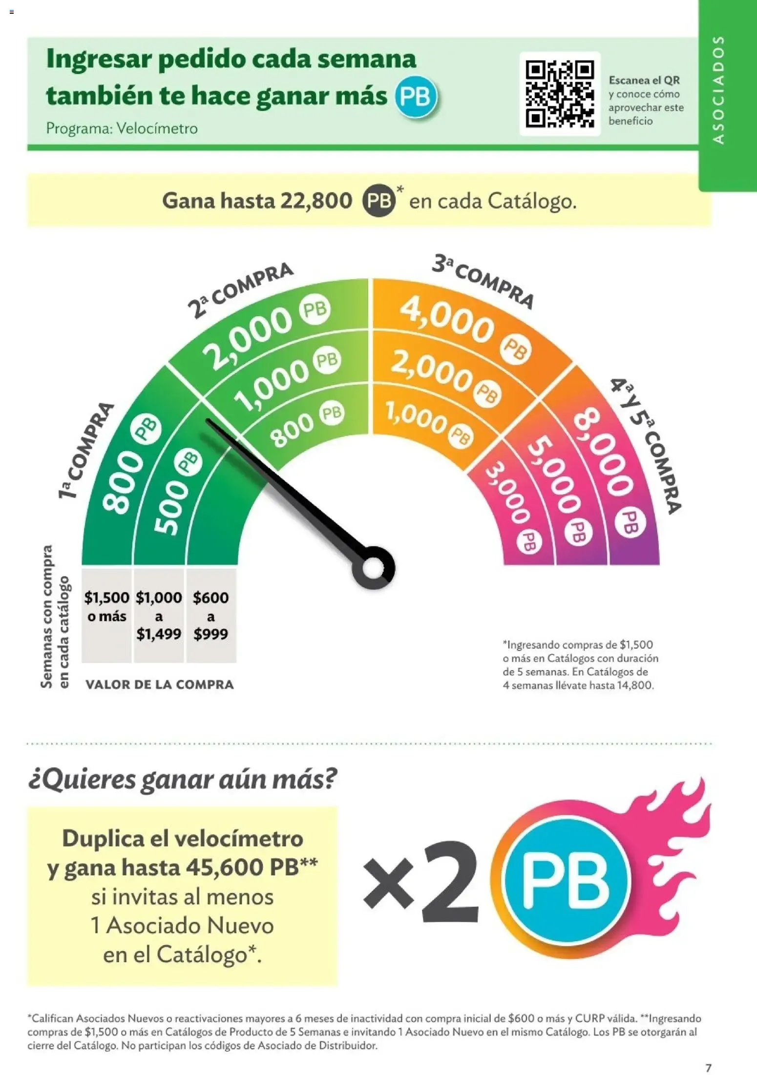 Catálogo de Betterware Programas de Oportunidades para Asociados y Distribuidores 1 de enero al 31 de agosto 2026 - Pagina 7