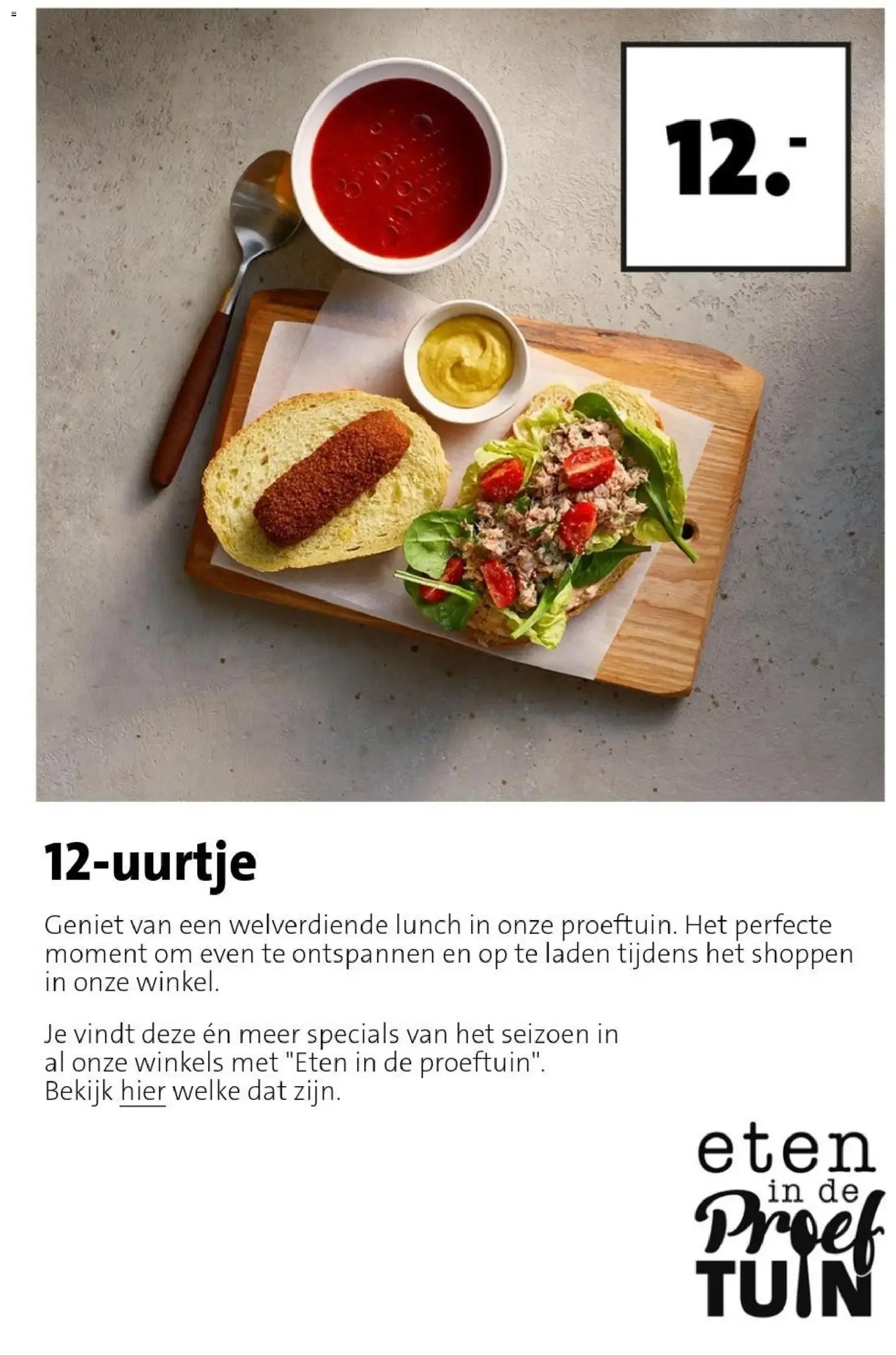 Naar grote hoogte van 24 augustus tot 30 augustus 2026 - Folder pagina 14