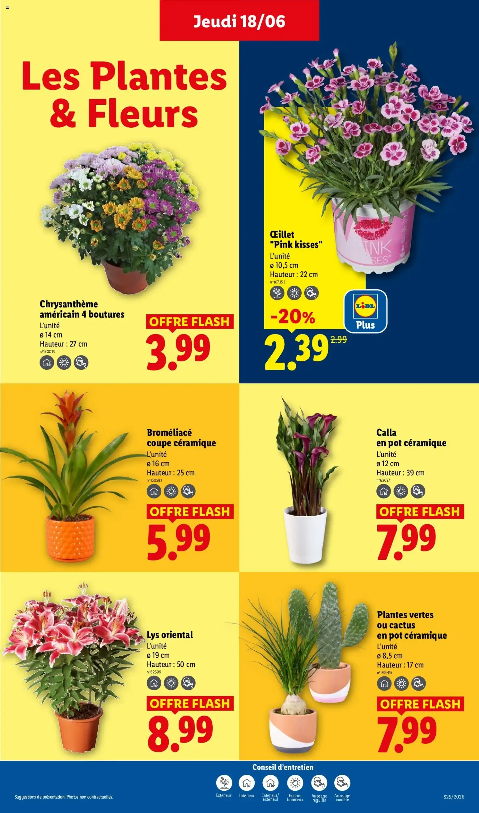 Catalogue LIDL L'ÉTÉ IMBATTABLE du 18 juin au 24 juin 2026 - Catalogue page 27