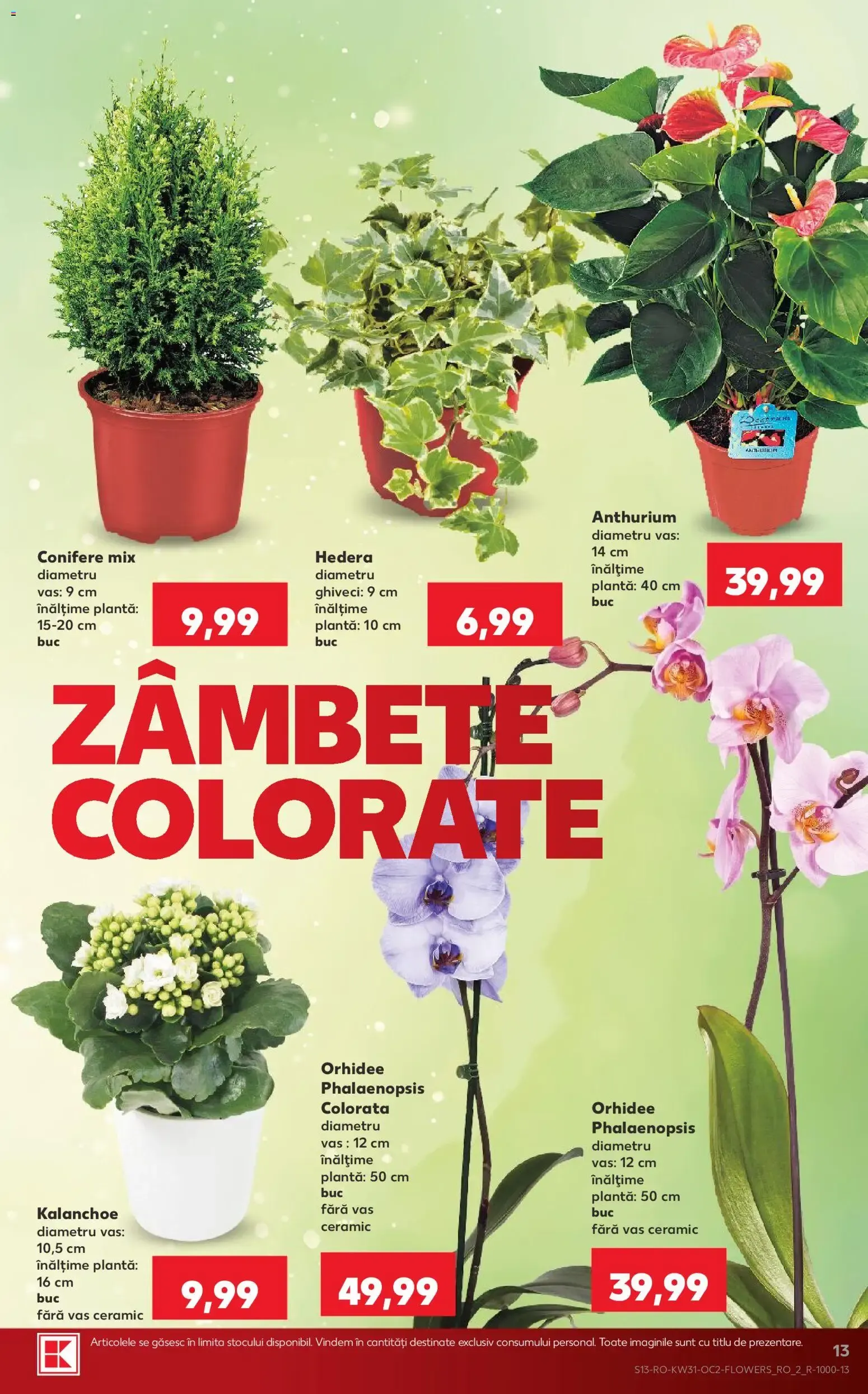Catalog Kaufland Catalog 29.07.2026 - Revista si Oferta de la 29 iulie până la 4 august 2026 - Revista Pagina 13