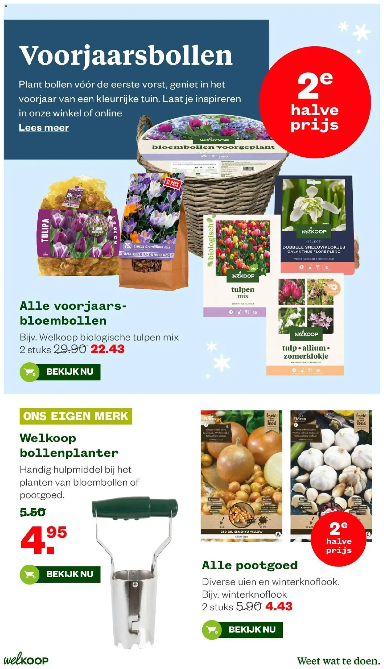 Welkoop folder vanaf 19-10-2026 || NIEUWE van 19 oktober tot 8 november 2026 - Folder pagina 11