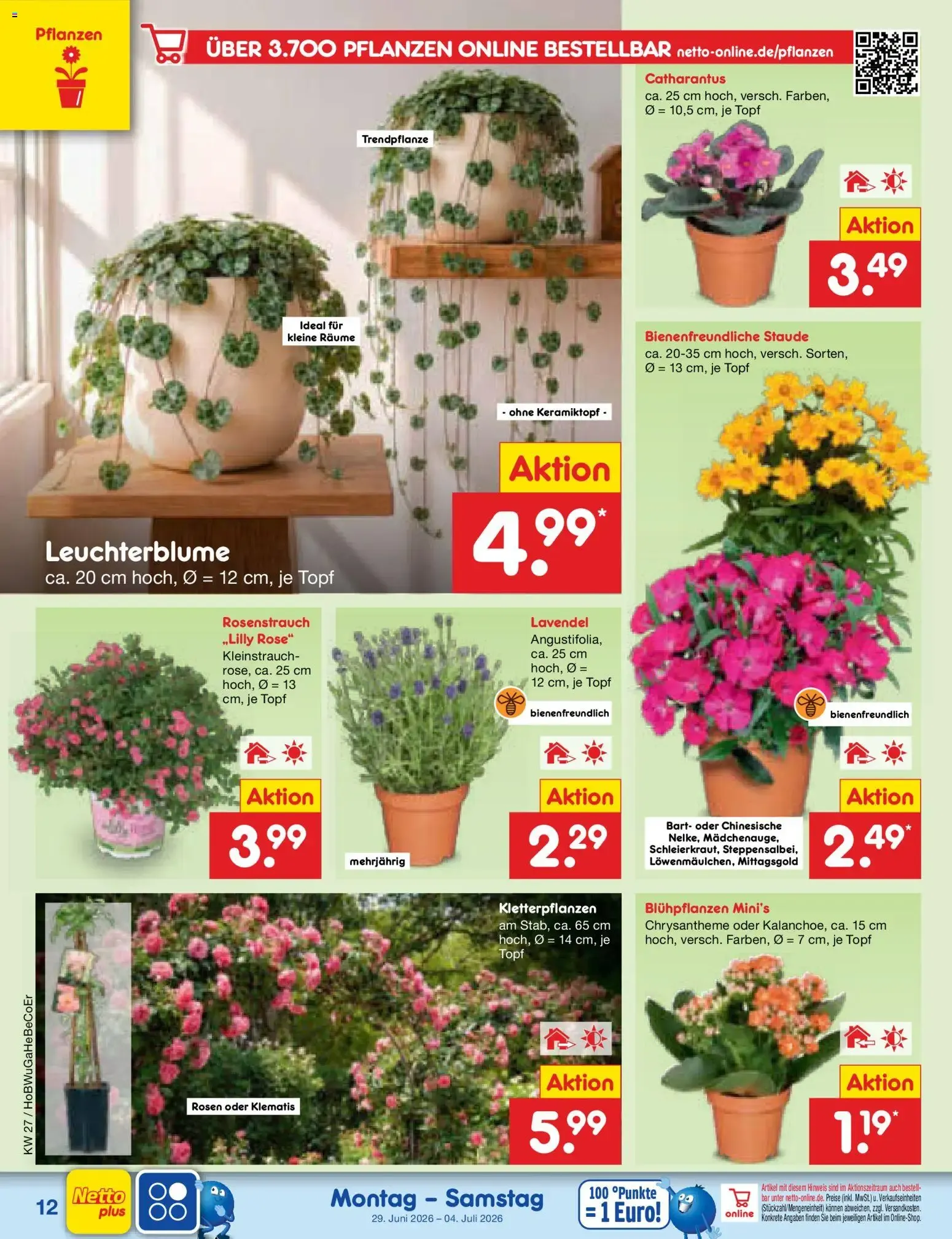 Netto Marken-Discount Prospekt (ab 29.06.2026) » Angebote von 29. Juni bis 4. Juli 2026 - Prospekt seite 16