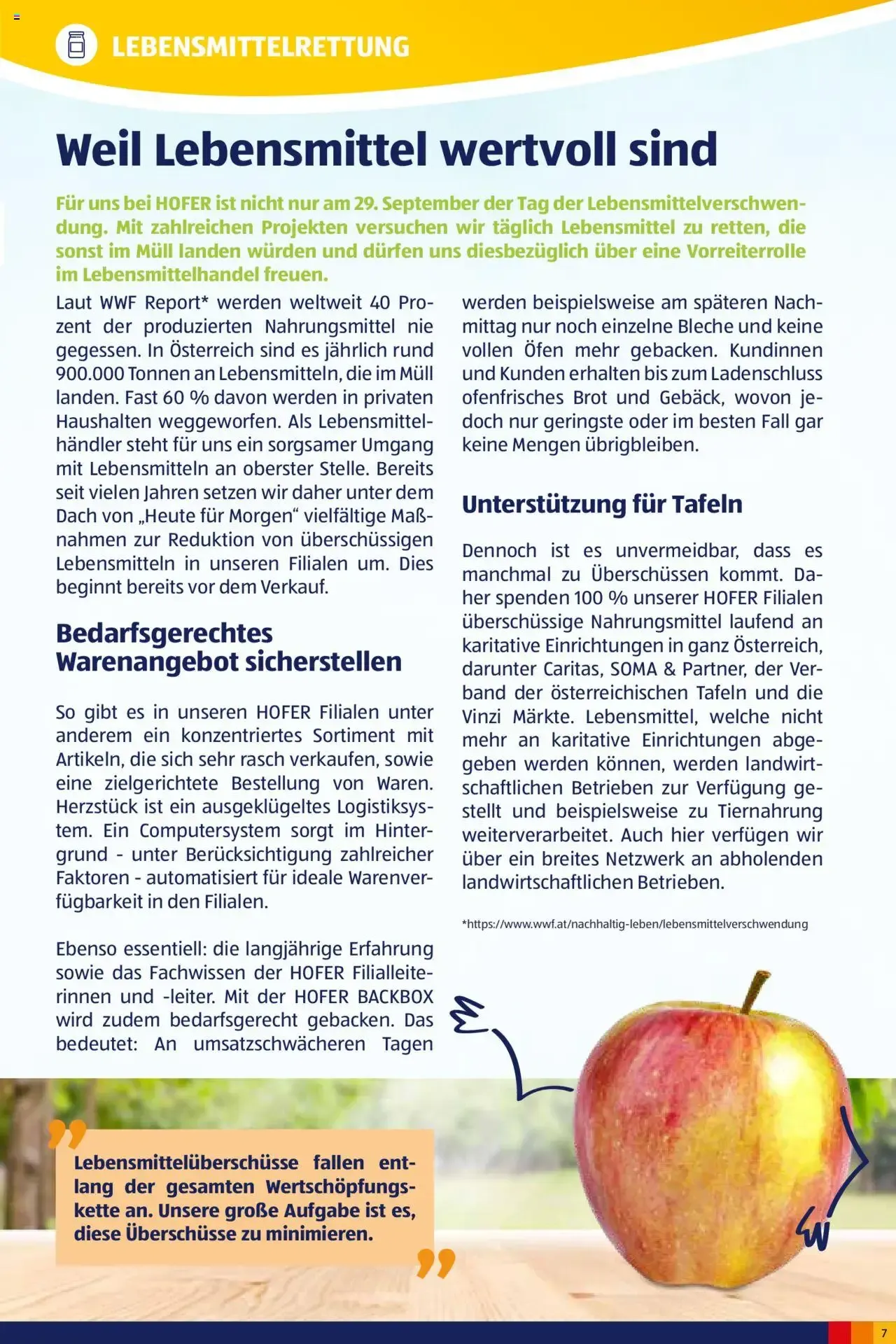 HOFER - GUTES MORGEN! HEUTE FÜR MORGEN von 2. Oktober bis 2. Oktober 2026 - Flugblätt seite  7