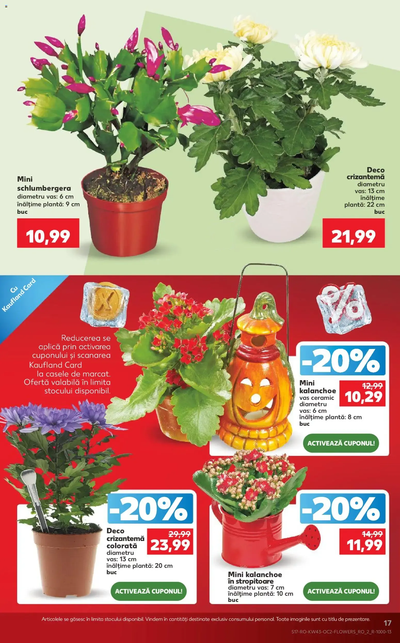 Catalog Kaufland Catalog Tematic 21.10.2026 - Revista si Oferta de la 21 octombrie până la 27 octombrie 2026 - Revista Pagina 17