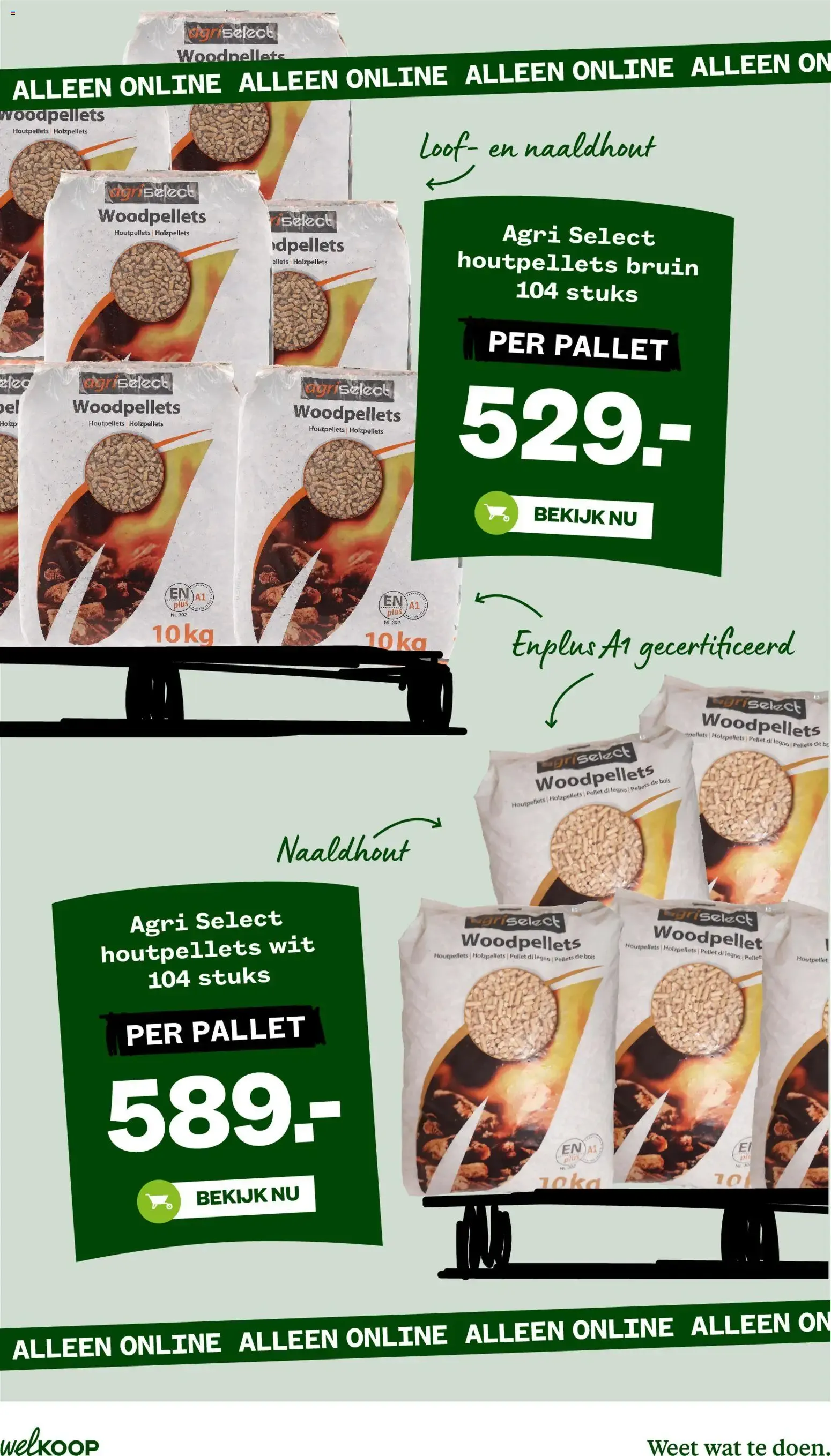 Welkoop Pallet voordeel van 24 augustus tot 6 september 2026 - Folder pagina 19