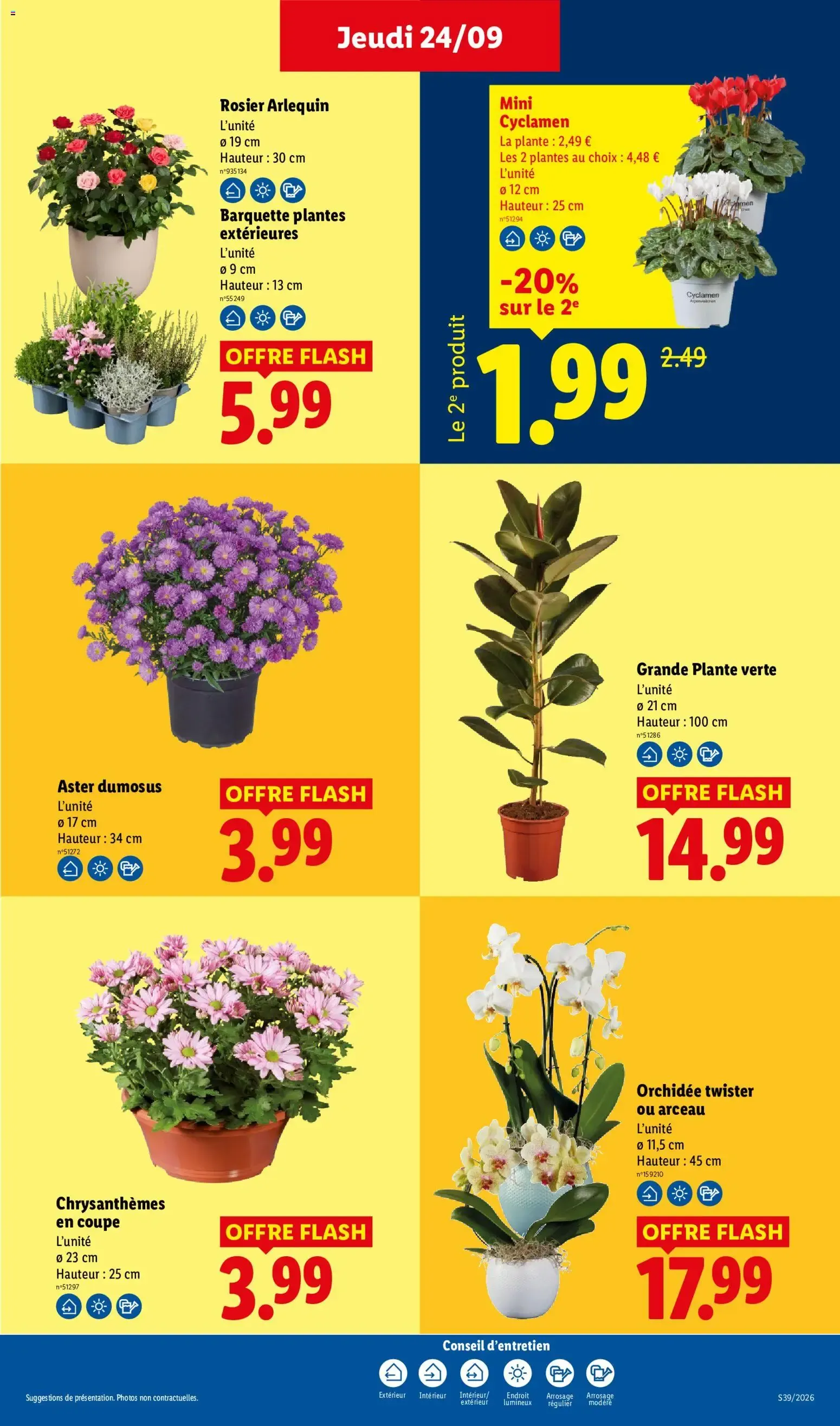 Catalogue LIDL du 24/09/2026 | Promo prospectus en ligne du 24 septembre au 30 septembre 2026 - Catalogue page 29