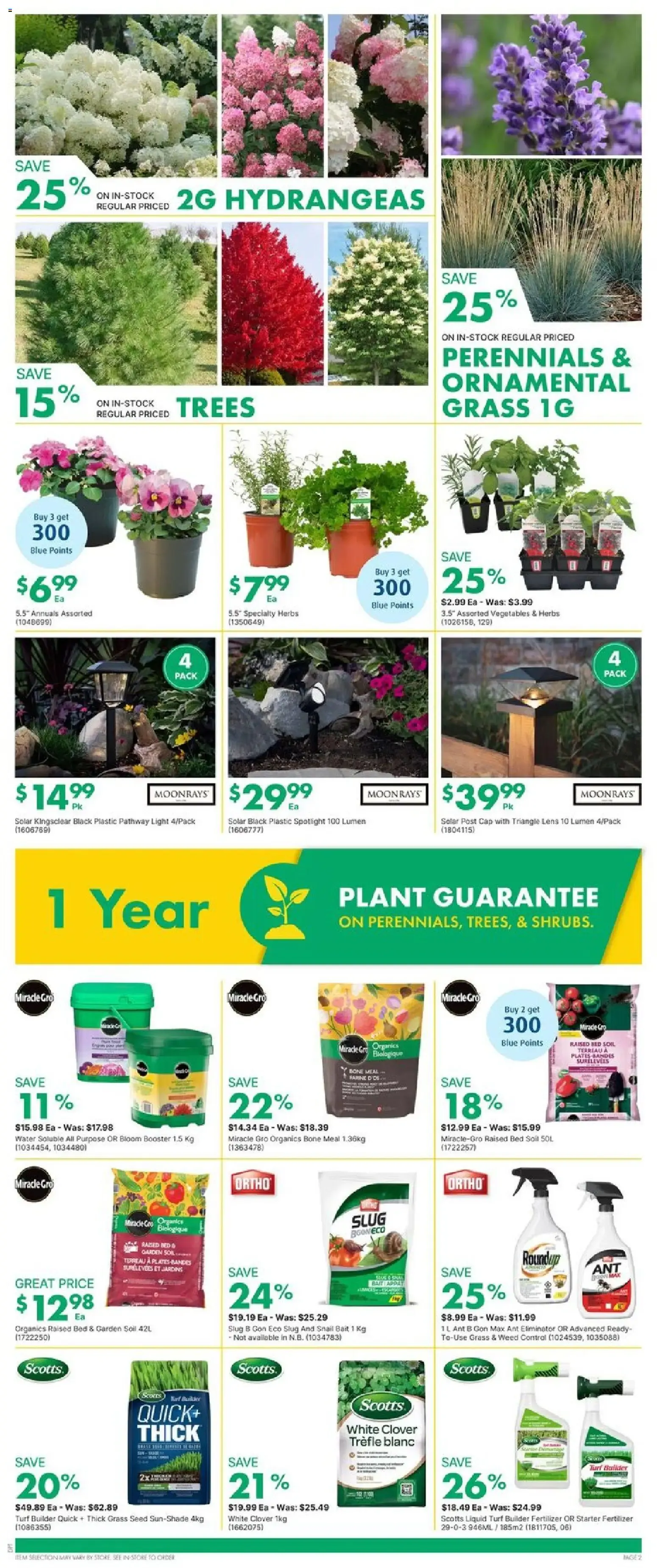 Kent weekly flyerr - NS from Jun 18, 2026 > weekly specials & deals from June 18 to June 24 2026 - flyer page 2