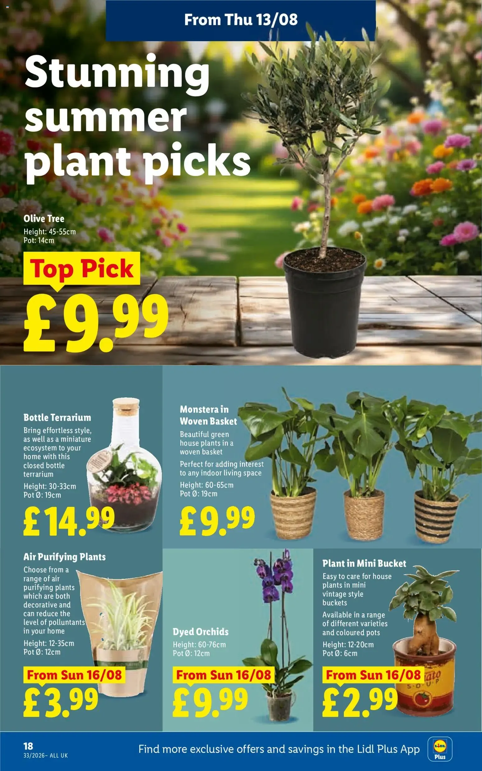 Lidl - Lidl Weekly (13/08/2026 - 19/08/2026) - Offers Online from 13 August to 19 August 2026 - Catalogue Page 20