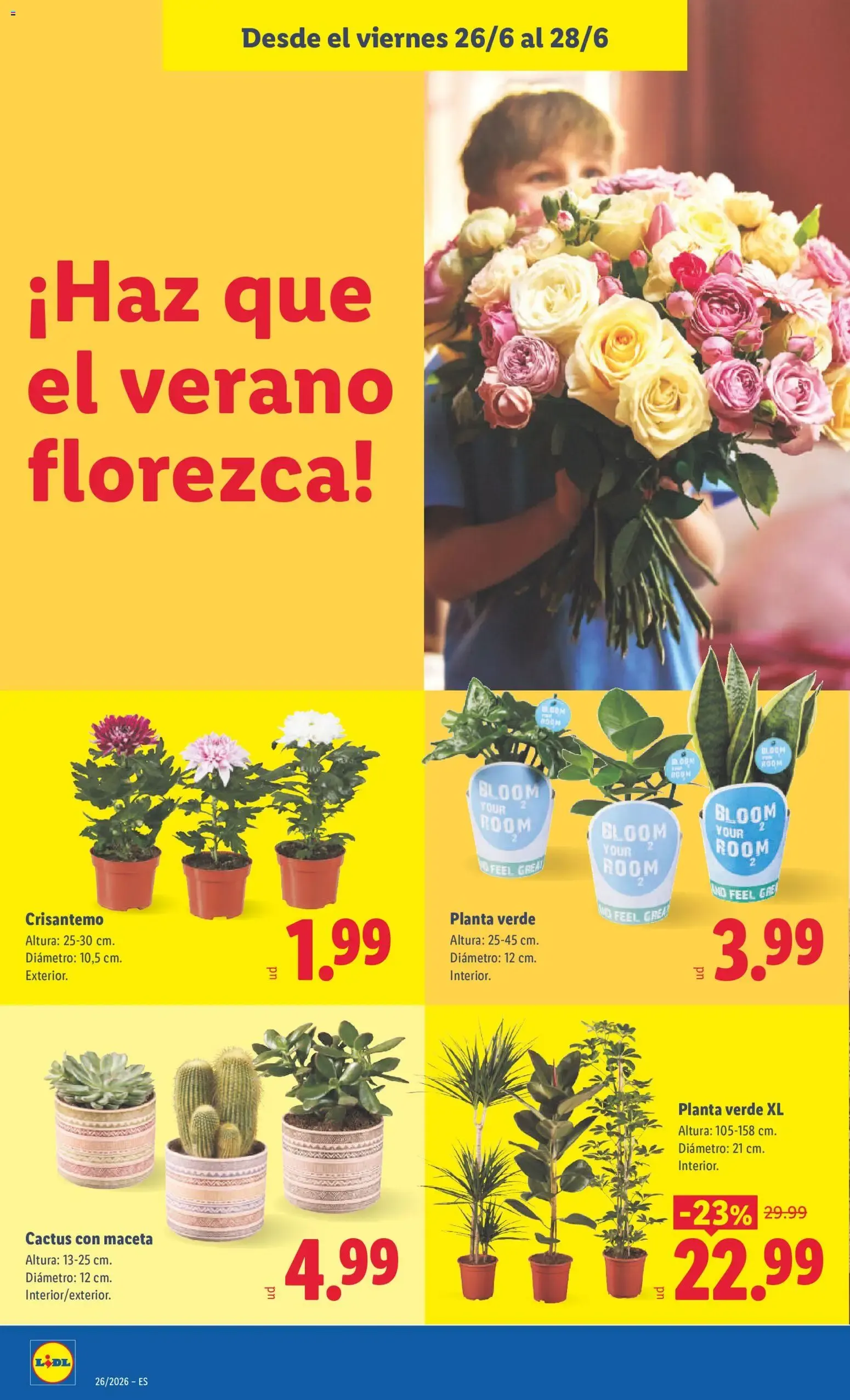 Catálogo de Lidl folleto del 22/06/2026 | Ofertas 22 de junio al 28 de junio 2026 - Página 40