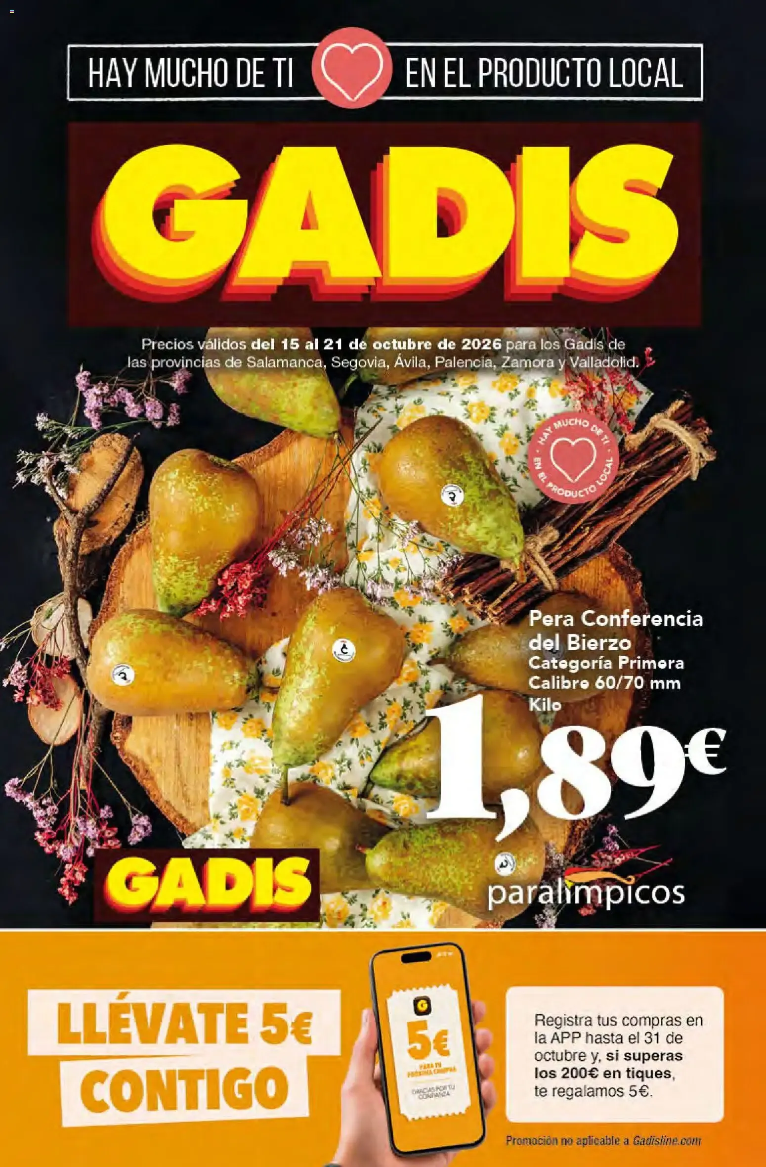 Gadis - folleto 15/10/2026 - 21/10/2026