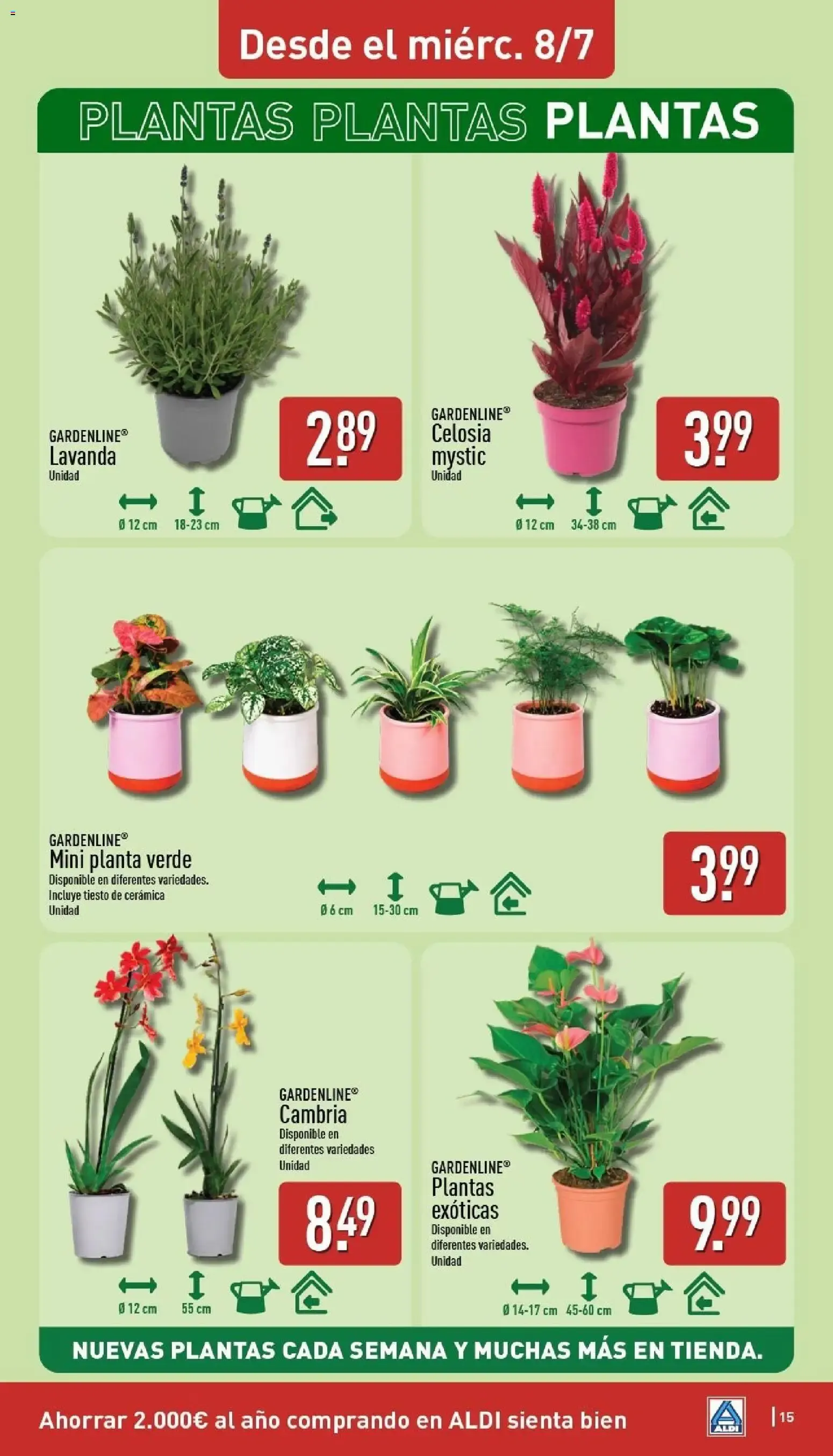 Catálogo de Aldi: Un Baño de Frescura al Mejor Precio 6 de julio al 12 de julio 2026 - Página 15