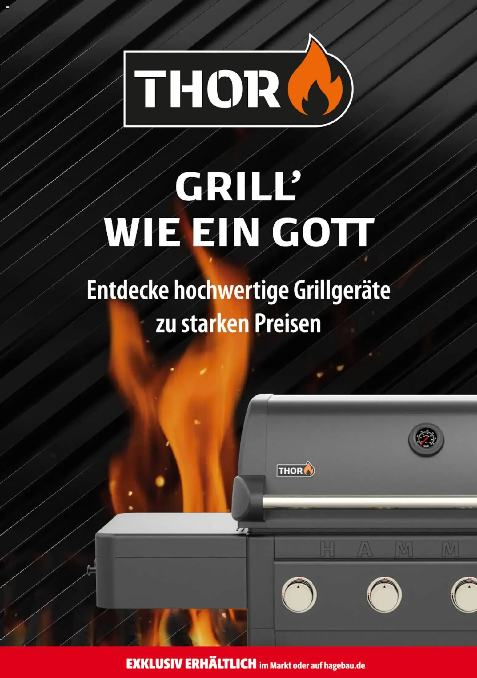 Hagebaumarkt: Hier grillt dein Bestpreis von 6. Juni bis 20. Juni 2026 - Prospekt seite 17
