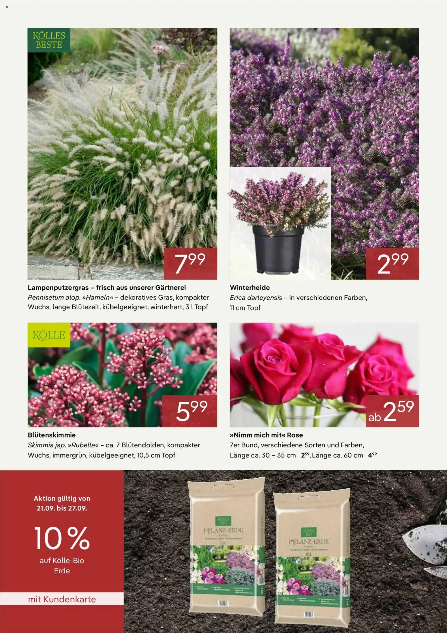 Pflanzen-Kölle Prospekt: Las mejores ofertas para el jardín von 1. September bis 30. September 2026 - Prospekt seite 2