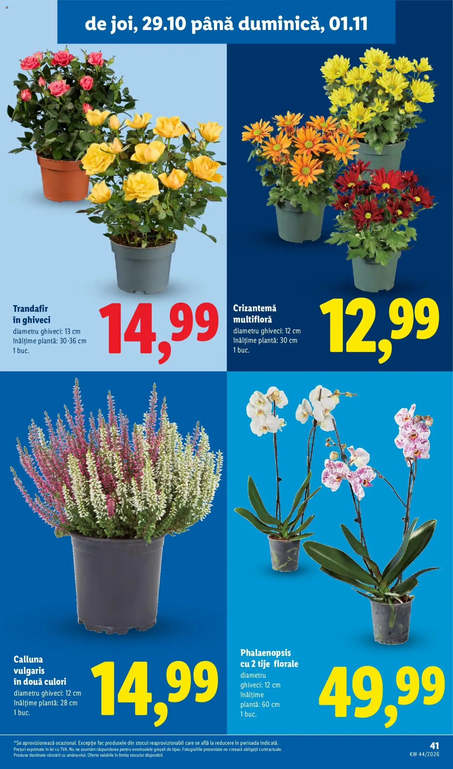 Catalog Catalog LIDL 26.10.2026 - Oferta și Revista online de la 26 octombrie până la 1 noiembrie 2026 - Revista Pagina 41