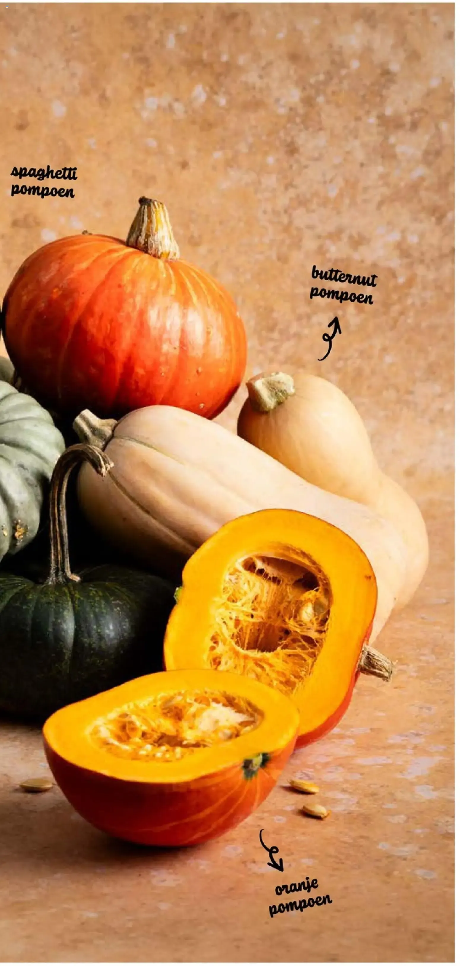 Ekoplaza: Cashewnoten 25% korting van 7 oktober tot 13 oktober 2026 - Folder pagina 15