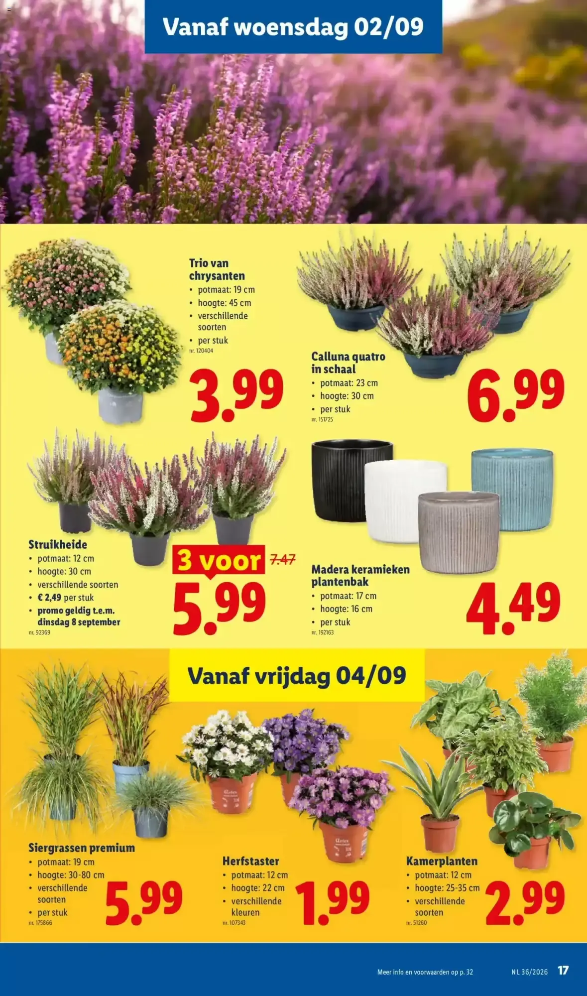 Super hero weken van 31 augustus tot 5 september 2026 - folder pagina 17