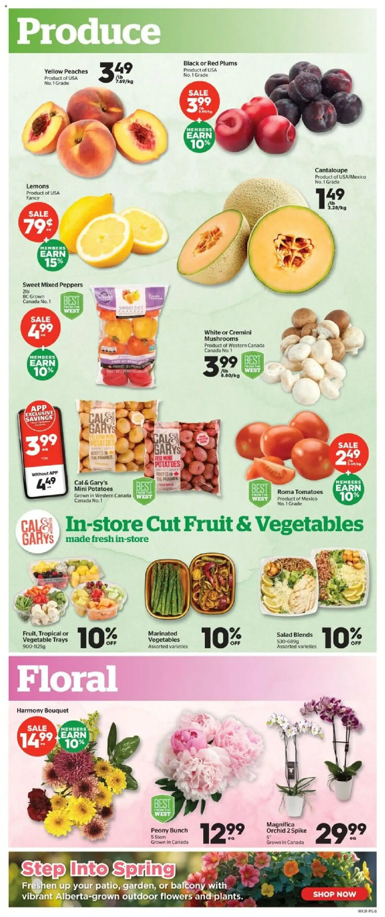 Calgary Co-op weekly flyer / circulaire from Jun 4, 2026 > weekly specials & deals from June 4 to June 10 2026 - flyer page 6