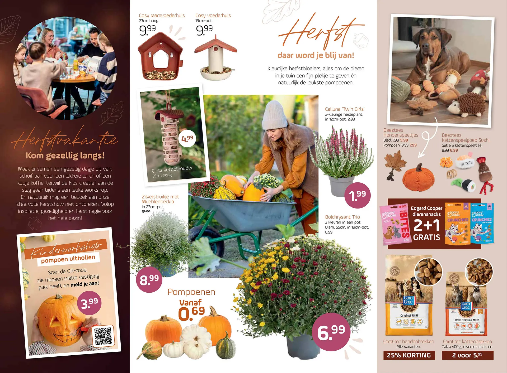 Coppelmans folder van 14 oktober tot 25 oktober 2026 - Folder pagina 4