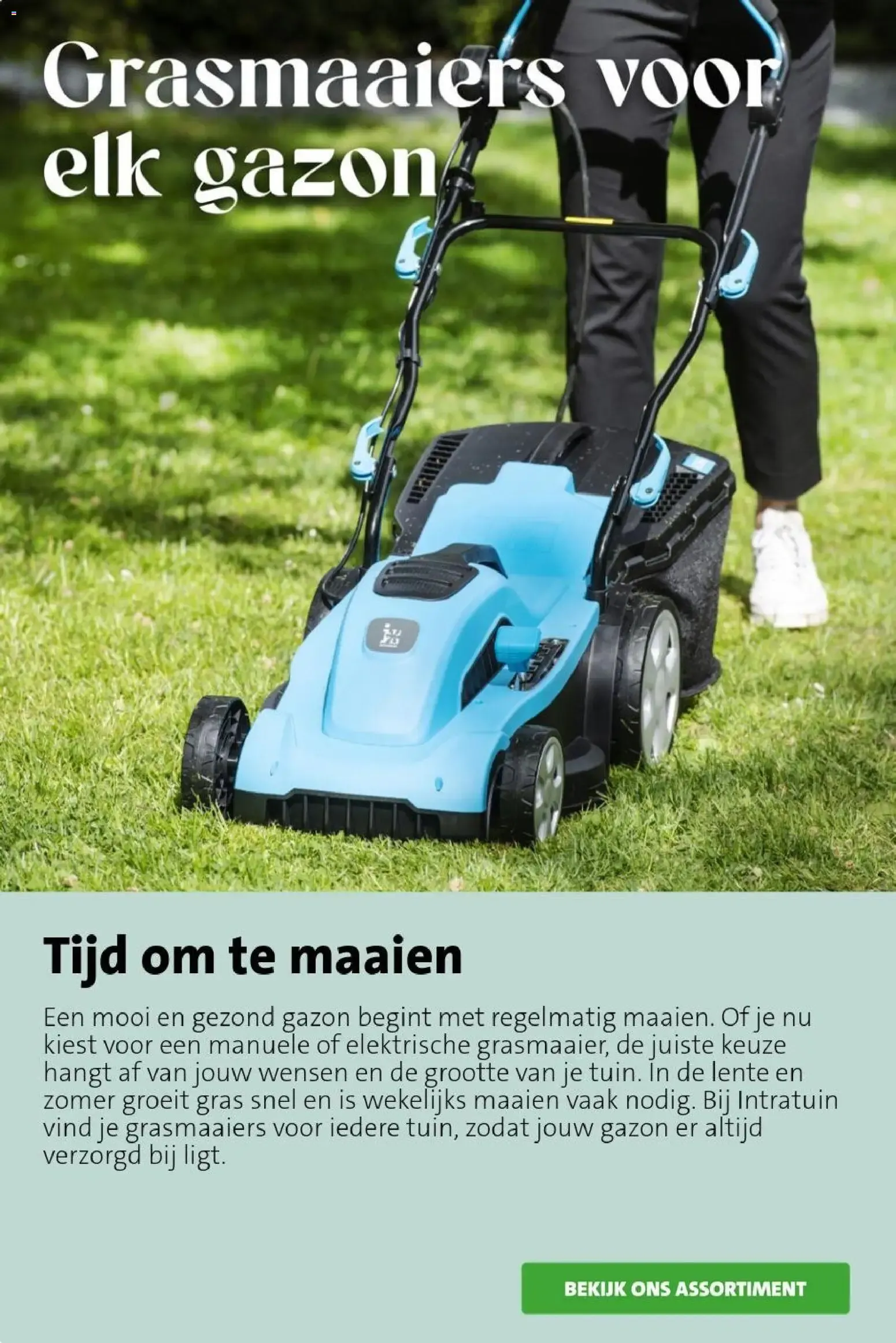 Intratuin Hitteproof - Blauw Schapengras van 13 juli tot 19 juli 2026 - Folder pagina 10