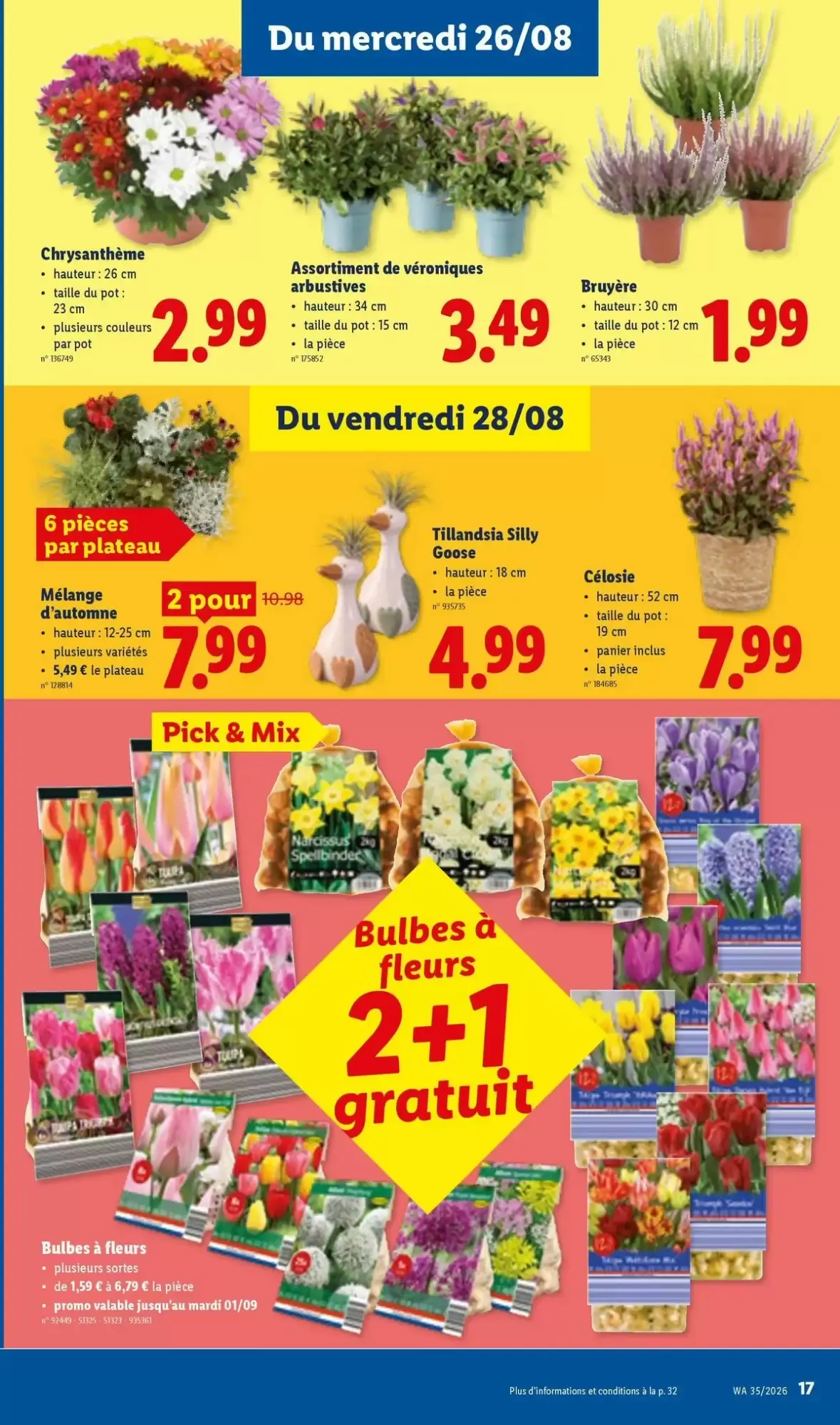 Lidl Semaines Super Hero van 24 augustus tot 29 augustus 2026 - folder pagina 17