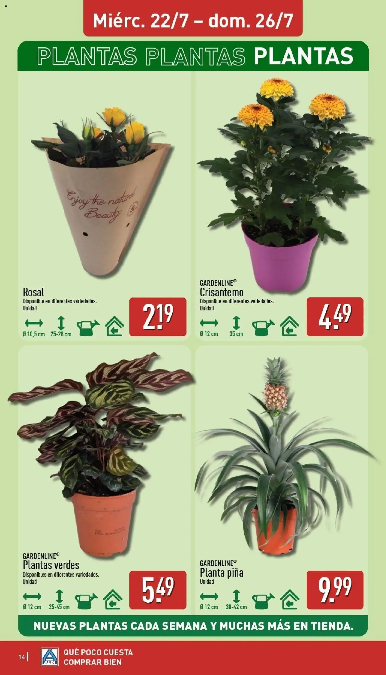 Catálogo de Aldi: Frescura a precios para tirarse a la piscina 20 de julio al 26 de julio 2026 - Página 14