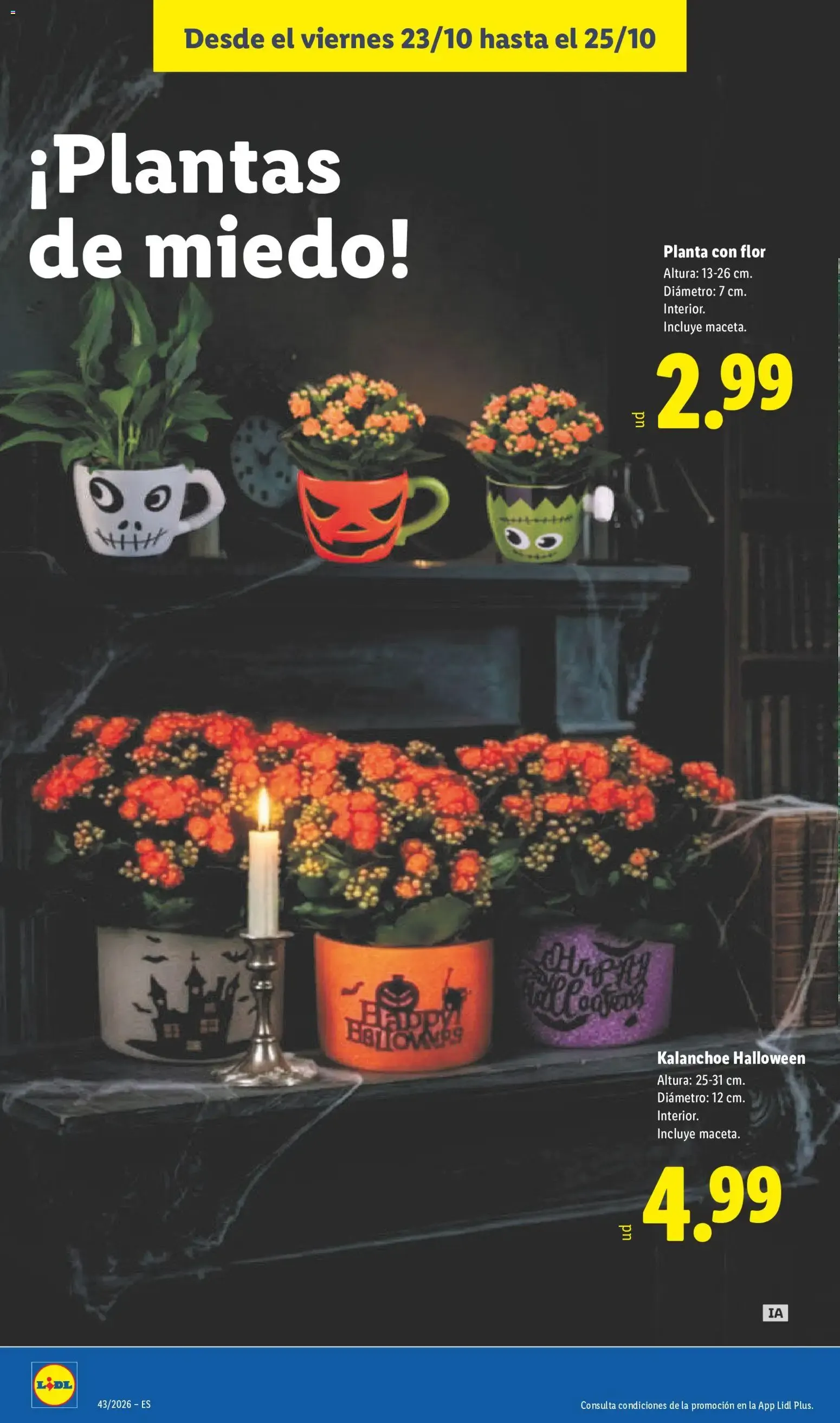 Catálogo de Lidl: Ofertas de carne y otros productos 19 de octubre al 25 de octubre 2026 - Página 54