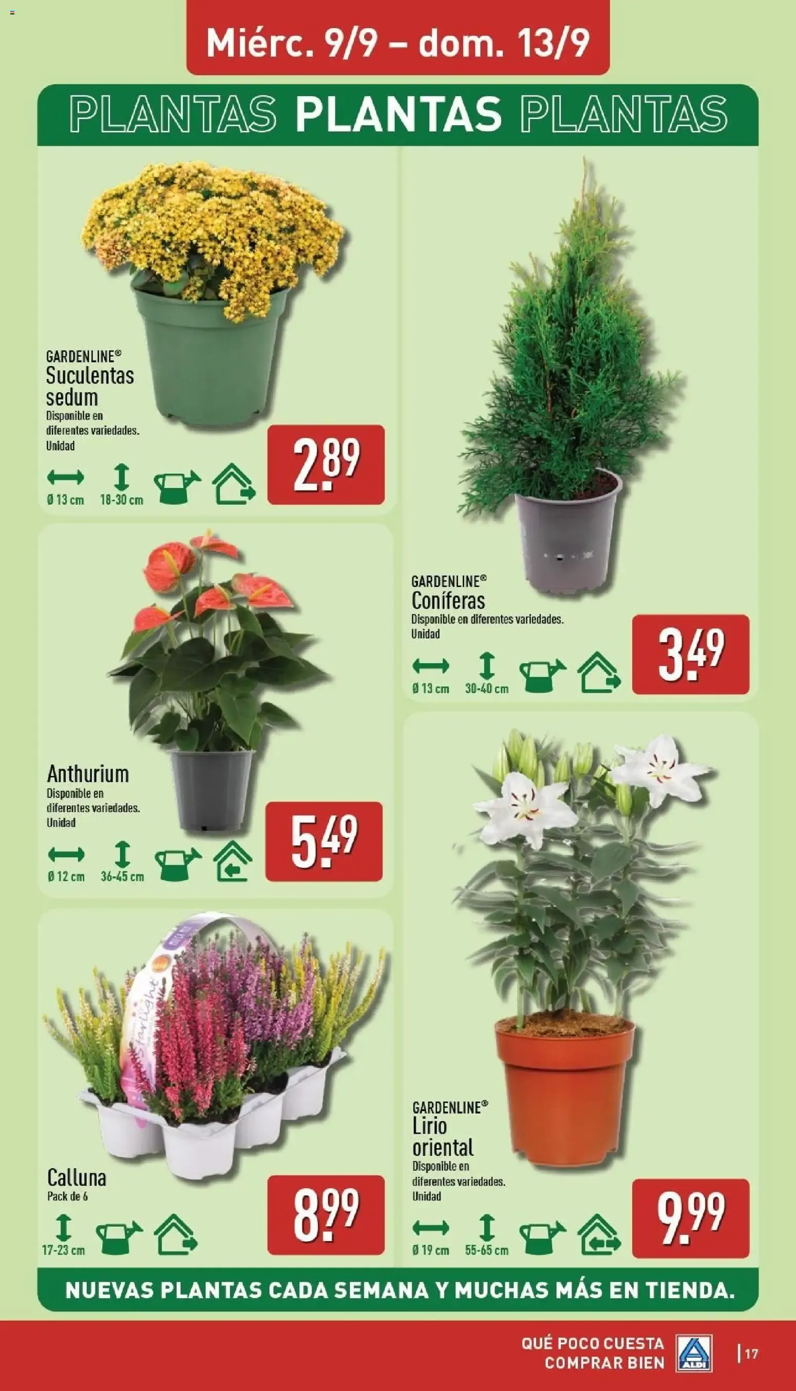 Catálogo de Aldi folleto Baleares del 07/09/2026 | Catálogo 7 de septiembre al 13 de septiembre 2026 - Página 17