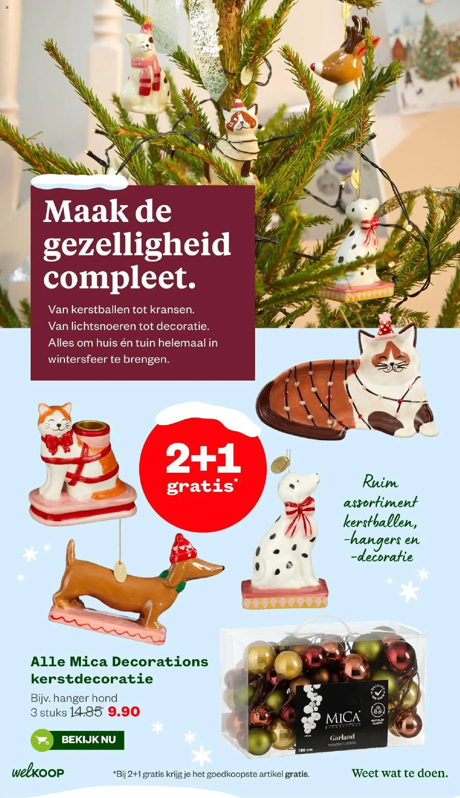 Welkoop folder vanaf 19-10-2026 || NIEUWE van 19 oktober tot 8 november 2026 - Folder pagina 4