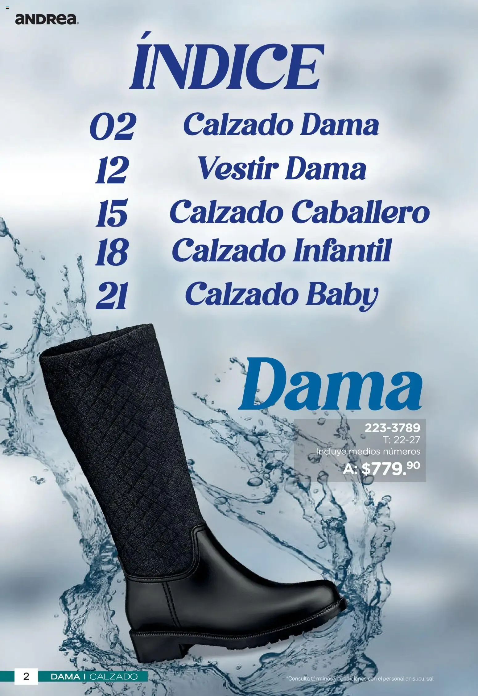 Catálogo de Andrea catálogo Botas de Lluvia 2026 - Catálogos en línea de 26/04 - 31/10 26 de abril al 31 de octubre 2026 - Pagina 2