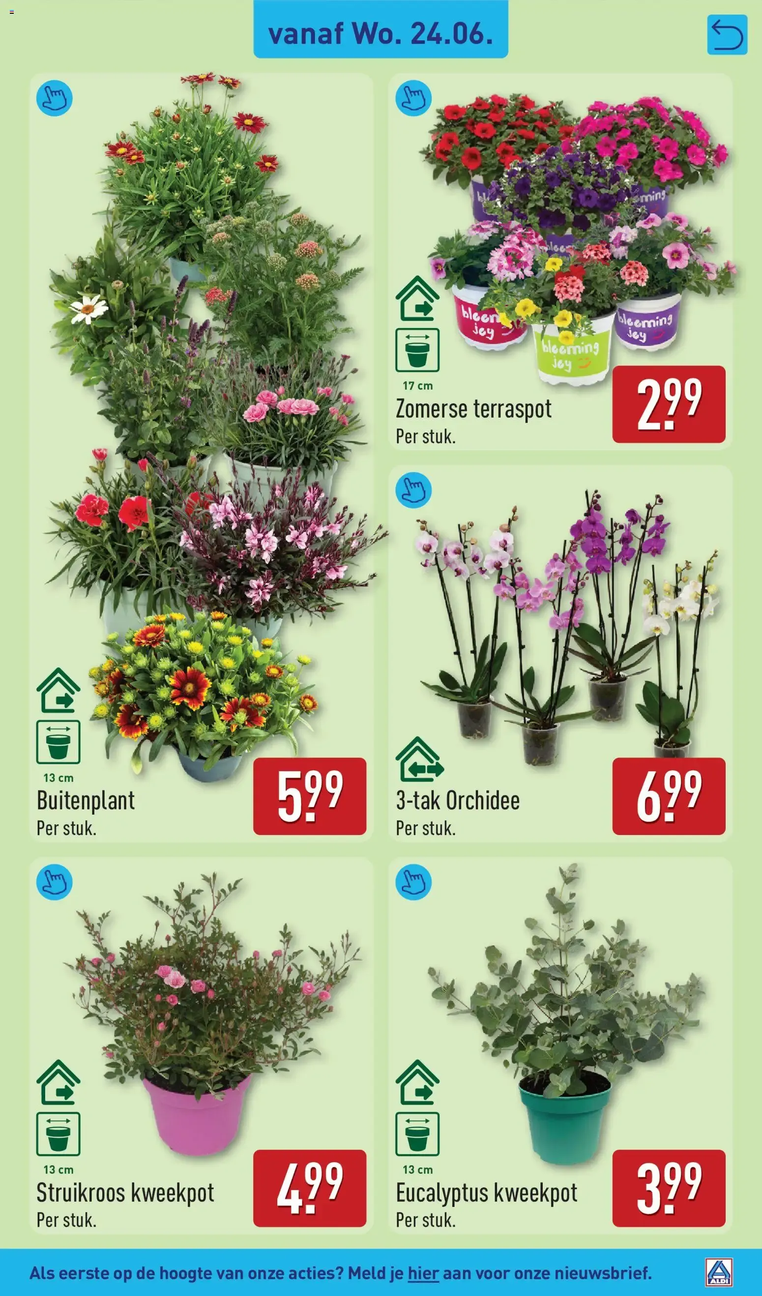 Aldi folder vanaf 22-06-2026 (volgende, deze week) van 22 juni tot 28 juni 2026 - Folder pagina 39