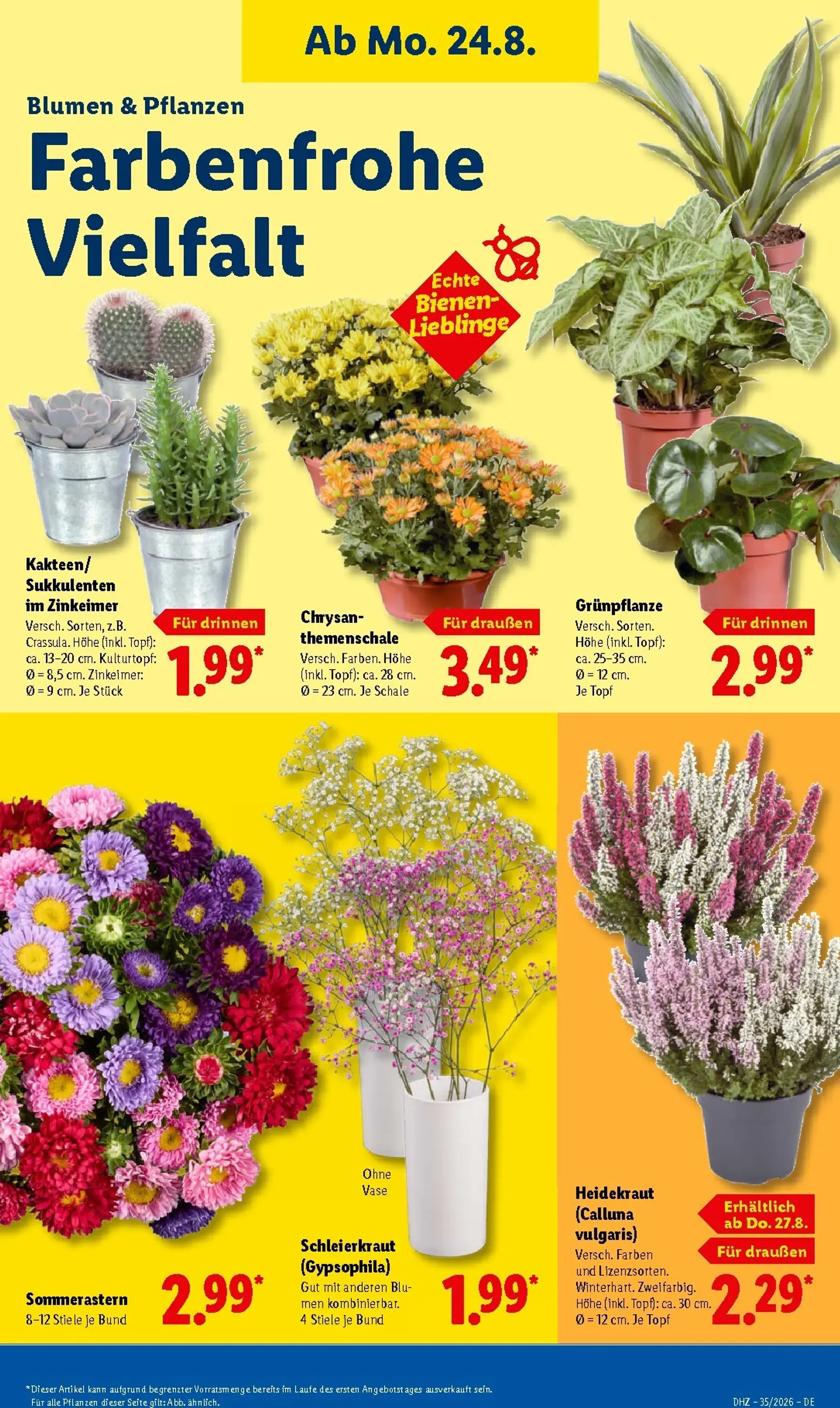 Lidl Prospekt nächste Woche – von Montag 24.08.2026 bis Samstag 29.08.2026 von 24. August bis 29. August 2026 - Prospekt seite 16