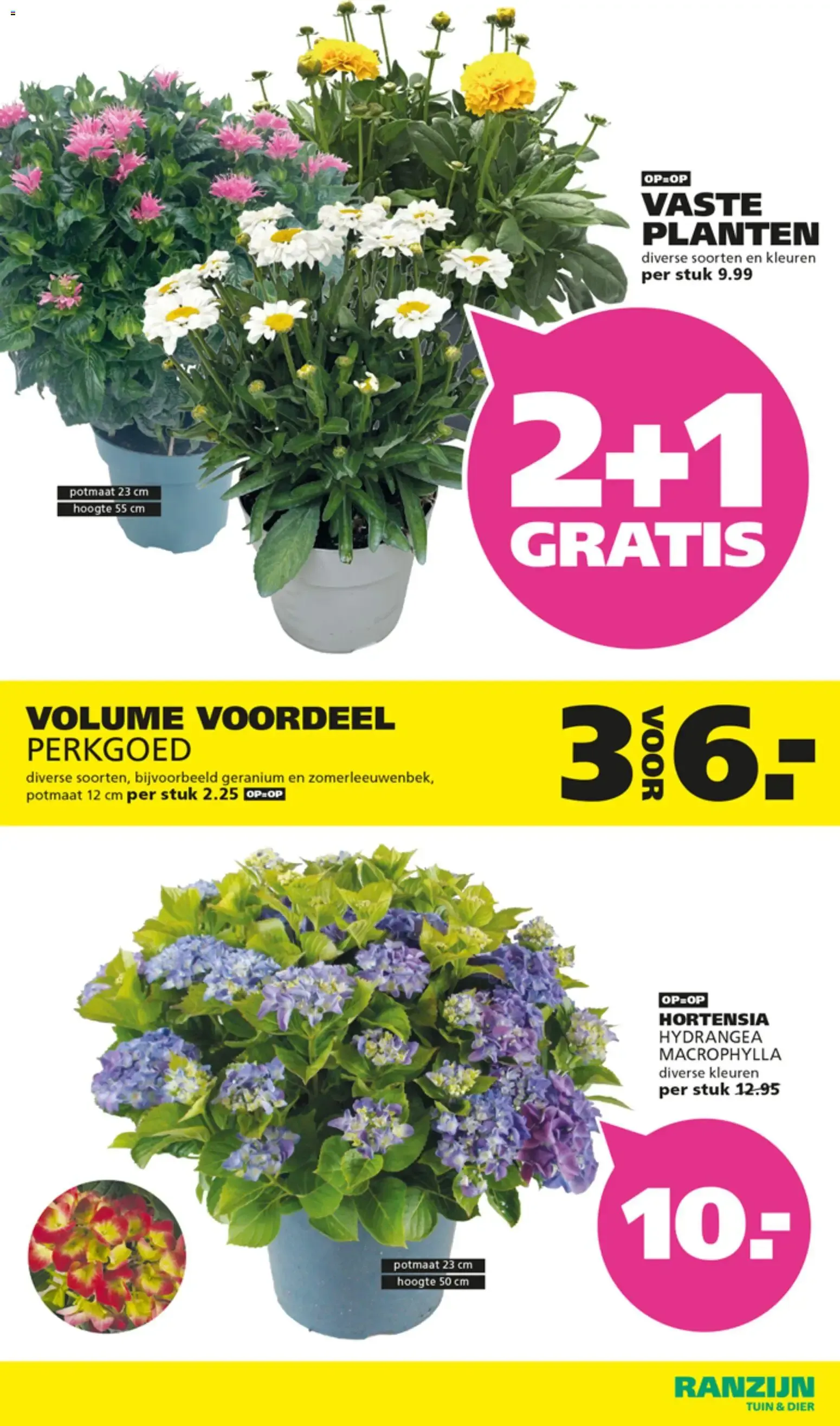 Ranzijn Tuin & Dier - Lekker Voordelig van 12 juli tot 25 juli 2026 - Folder pagina 11