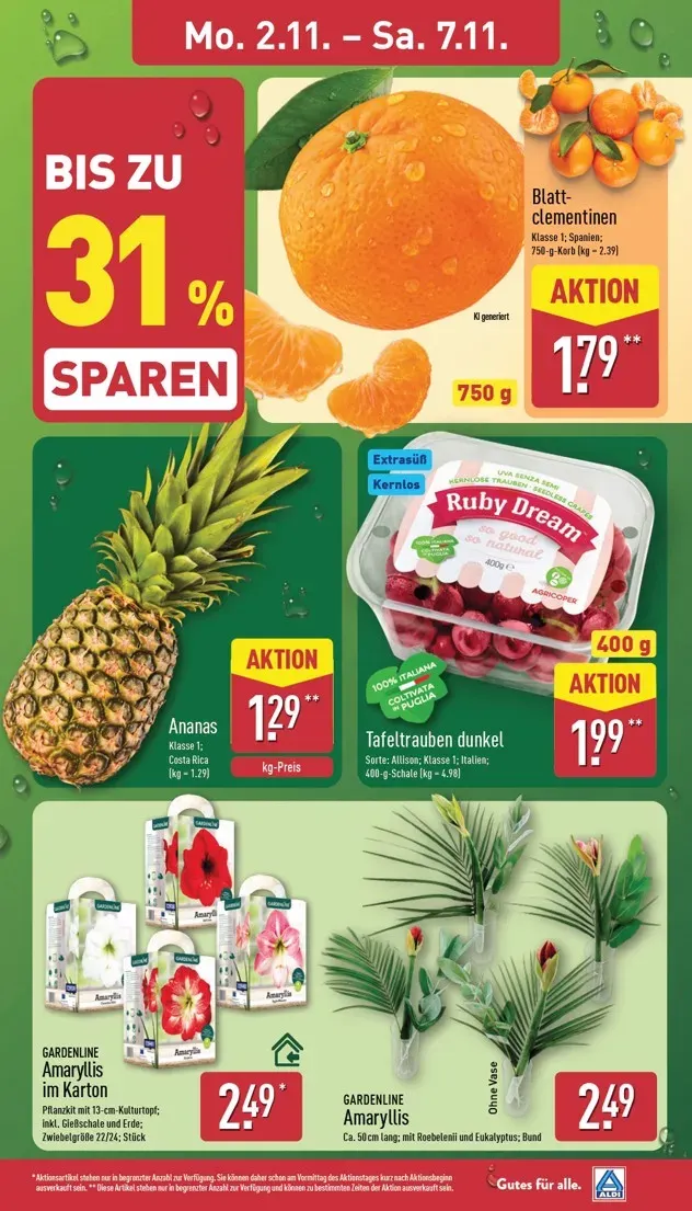 ALDI NORD Prospekt nächste Woche – von Montag 02.11.2026 bis Samstag 07.11.2026 von 2. November bis 7. November 2026 - Prospekt seite 3