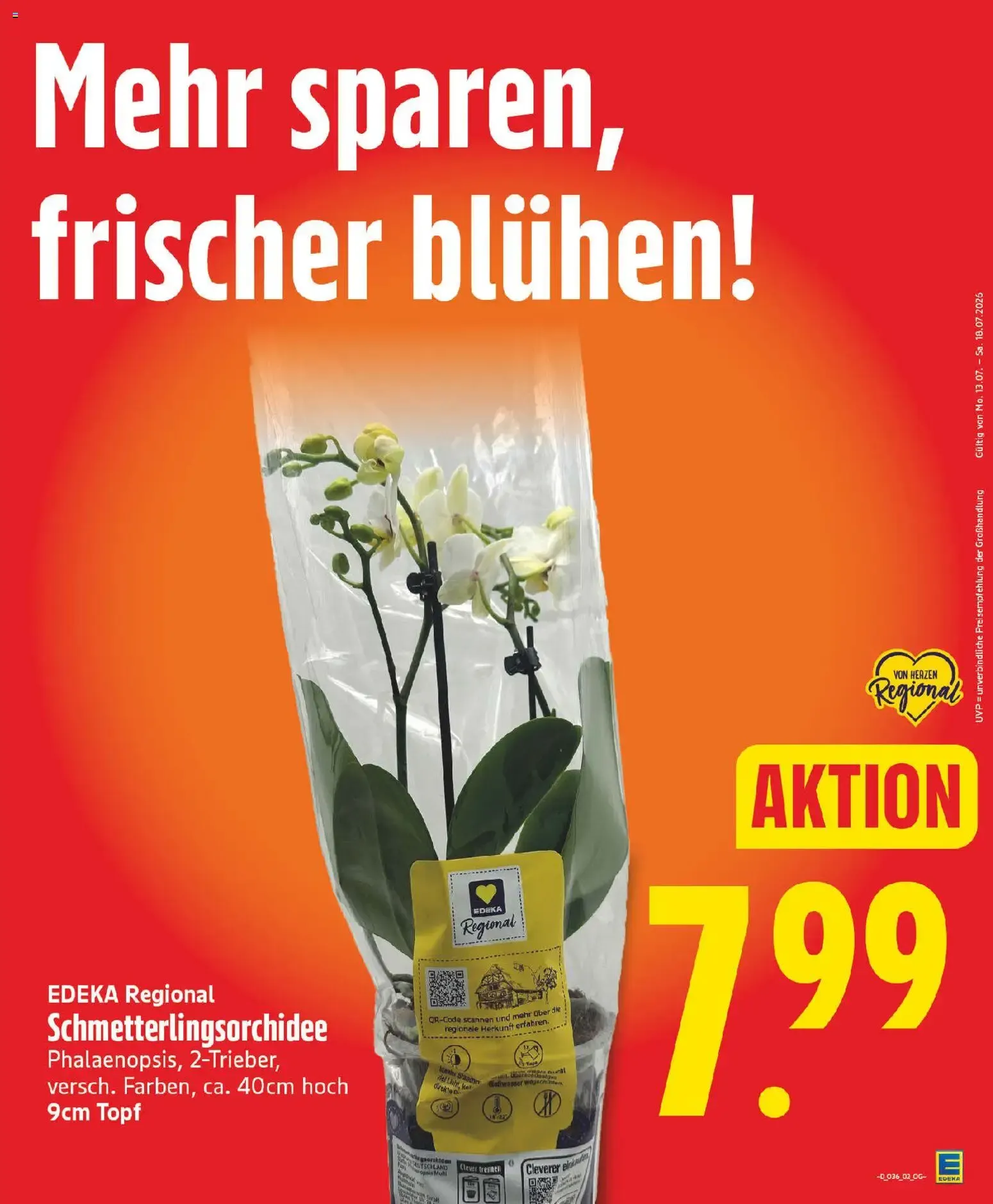 Elli Markt Prospekt vom 31.08.2026 – Angebote online von 31. August bis 5. September 2026 - Prospekt seite 9