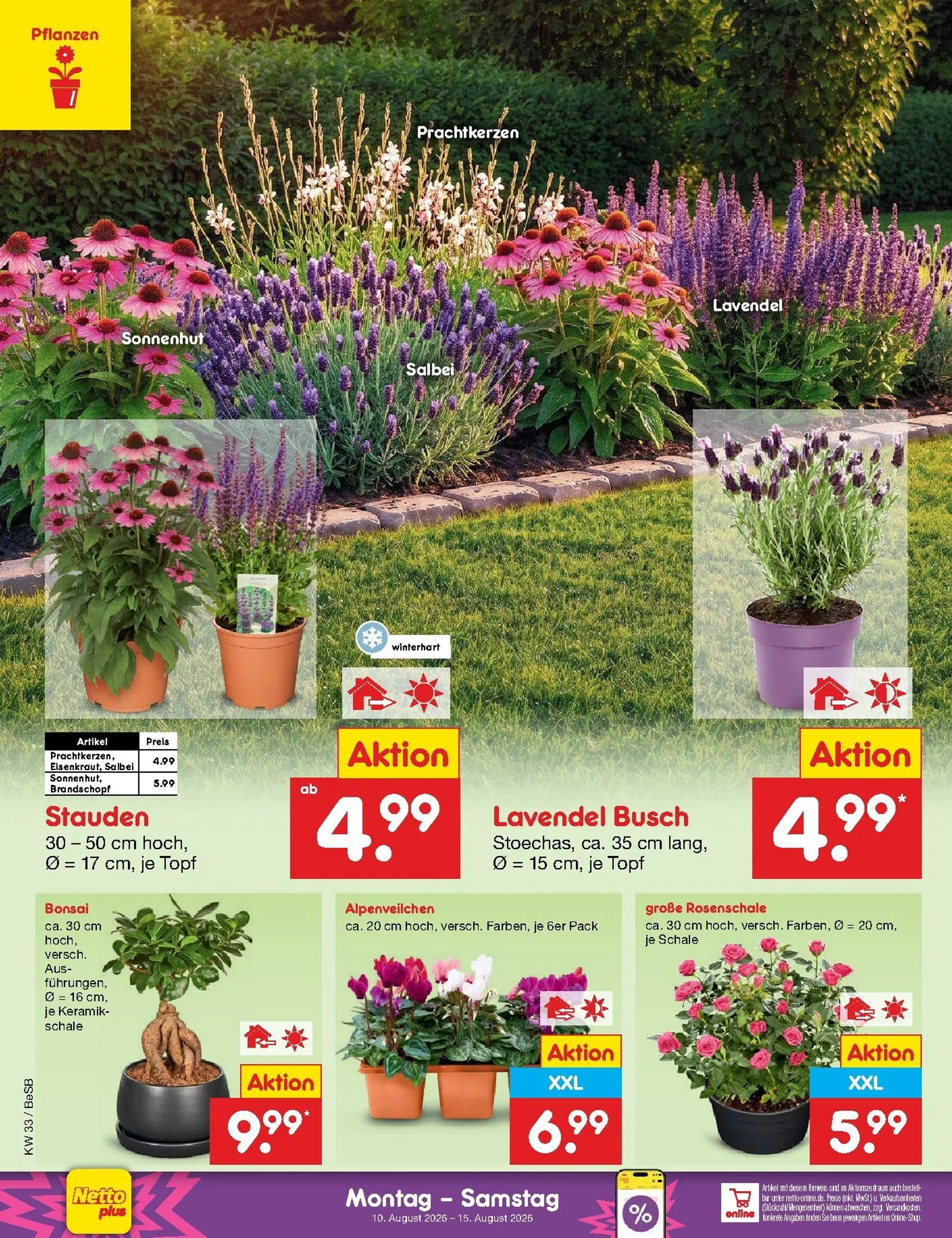 Netto Marken Discount Prospekt nächste Woche – von Montag 10.08.2026 bis Samstag 15.08.2026 von 10. August bis 15. August 2026 - Prospekt seite 45