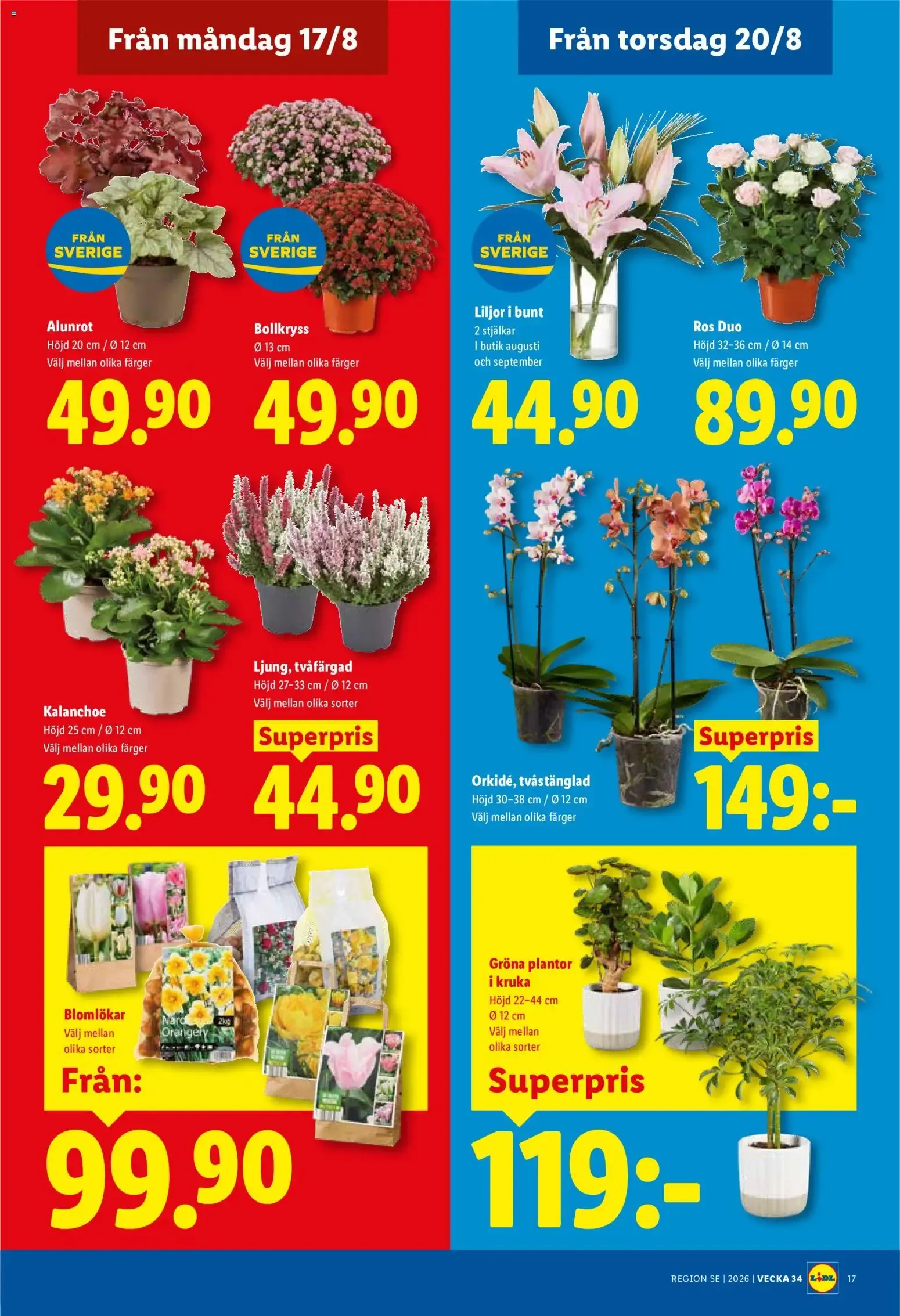 Lidl: Kvalitetssäkrade frukter och grönsaker. Det lönar sig. från 17 augusti till 23 augusti 2026 - Reklamblad sidor 21