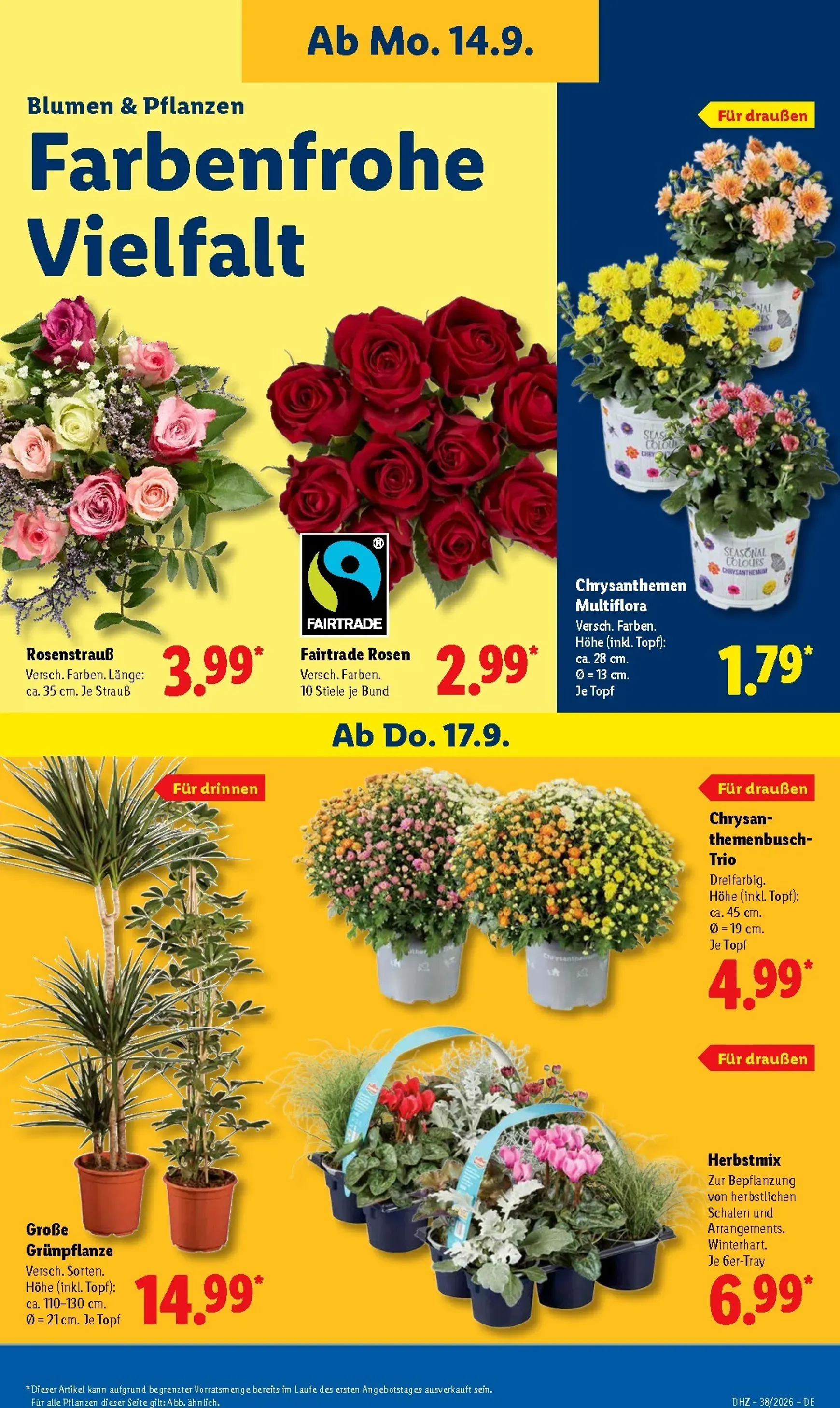 Lidl Prospekt - Ofertas del 14 al 19 de Septiembre von 14. September bis 19. September 2026 - Prospekt seite 24
