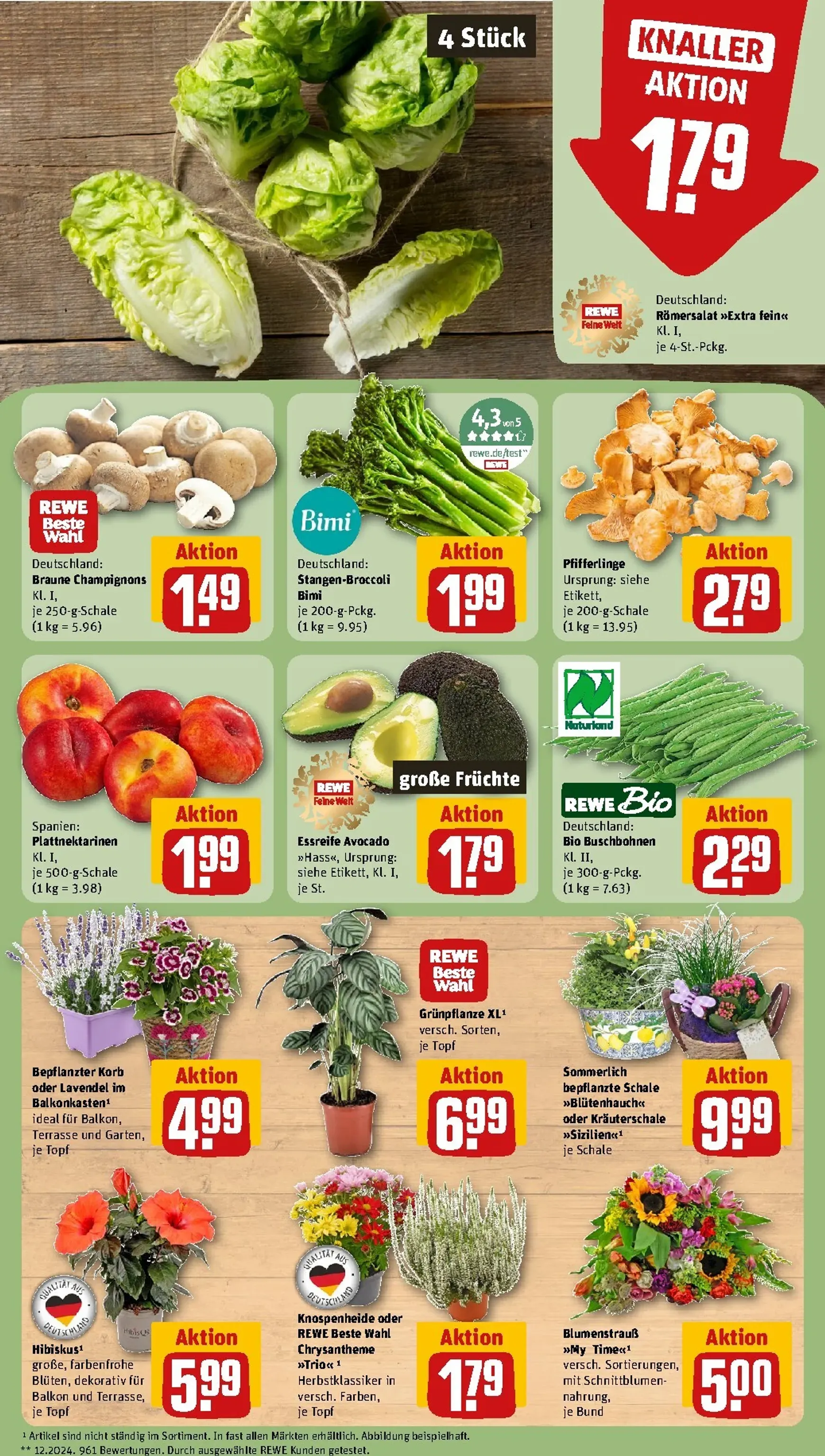 REWE Arina Fester - Jeder Tag Spartag! von 17. August bis 23. August 2026 - Prospekt seite 9
