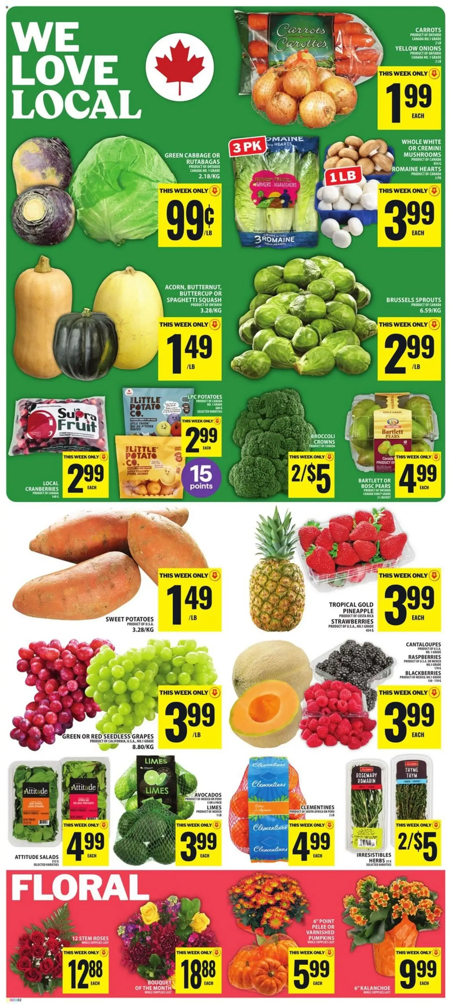 Food Basics weekly flyer / circulaire from Oct 8, 2026 > weekly specials & deals from October 8 to October 14 2026 - flyer page 3