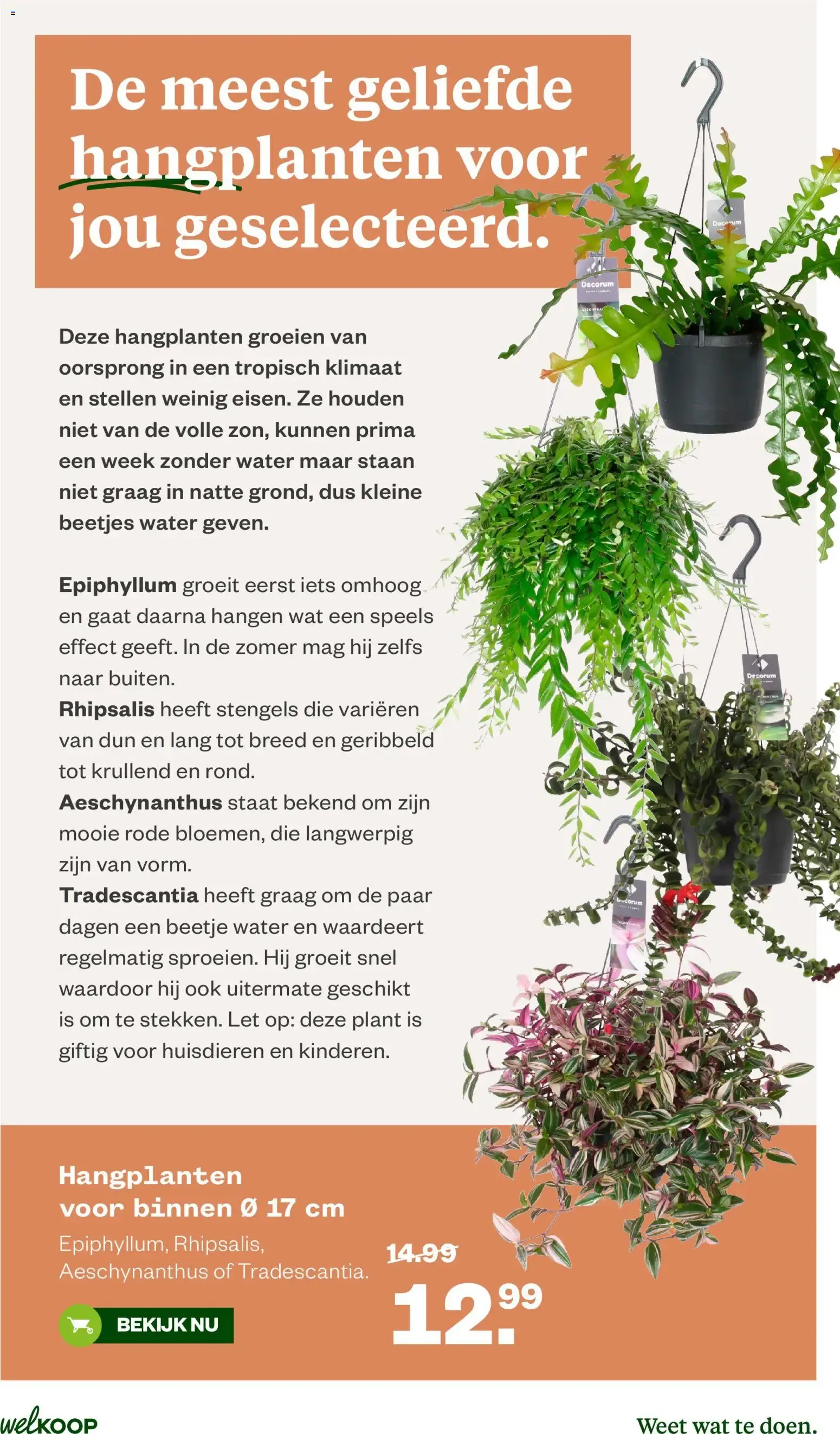 Welkoop Zomer deals van 22 juni tot 5 juli 2026 - Folder pagina 17