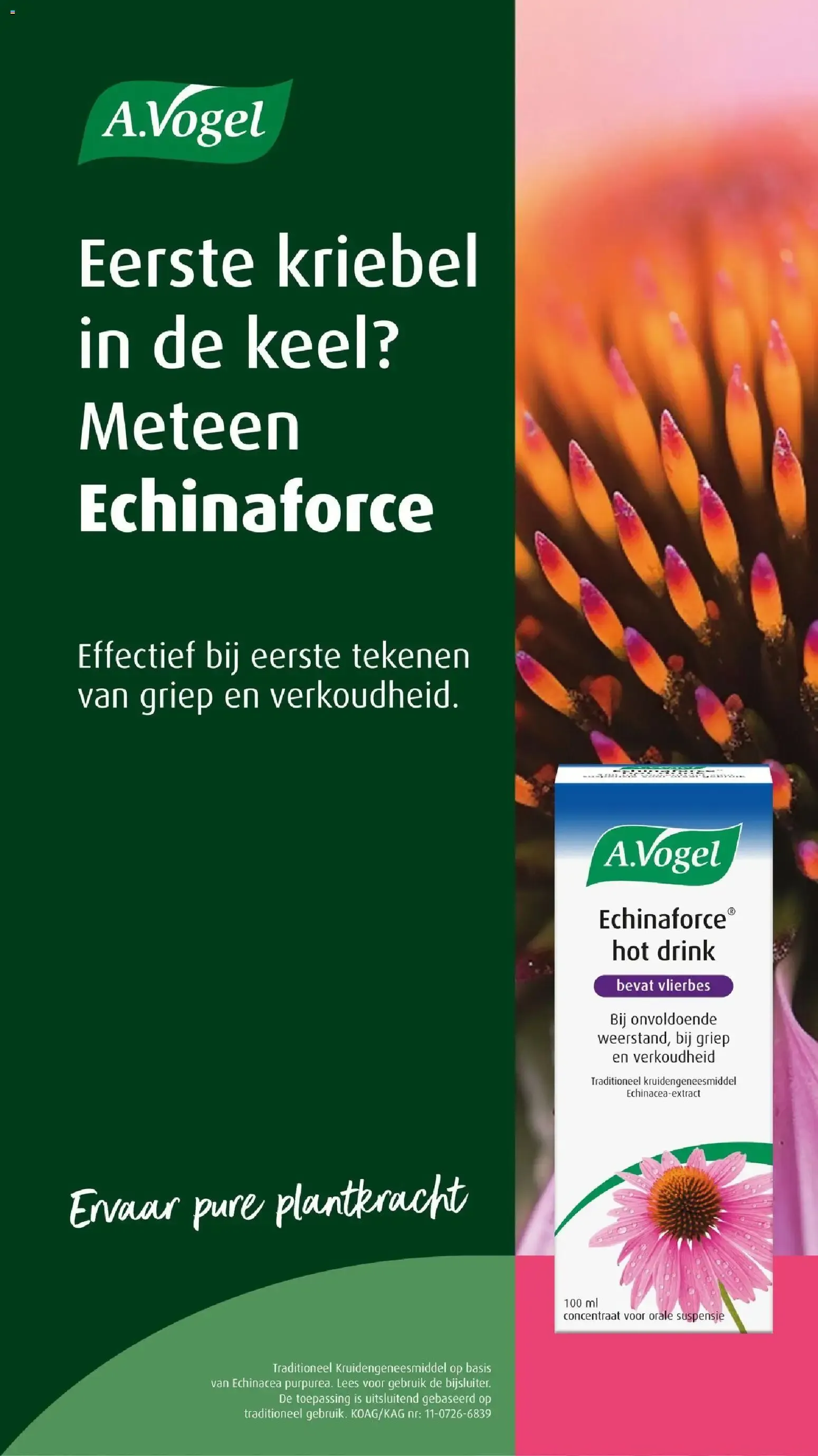 Jumbo folder vanaf 02-09-2026 -- deze week (aanbiedingen) van 2 september tot 8 september 2026 - Folder pagina 36