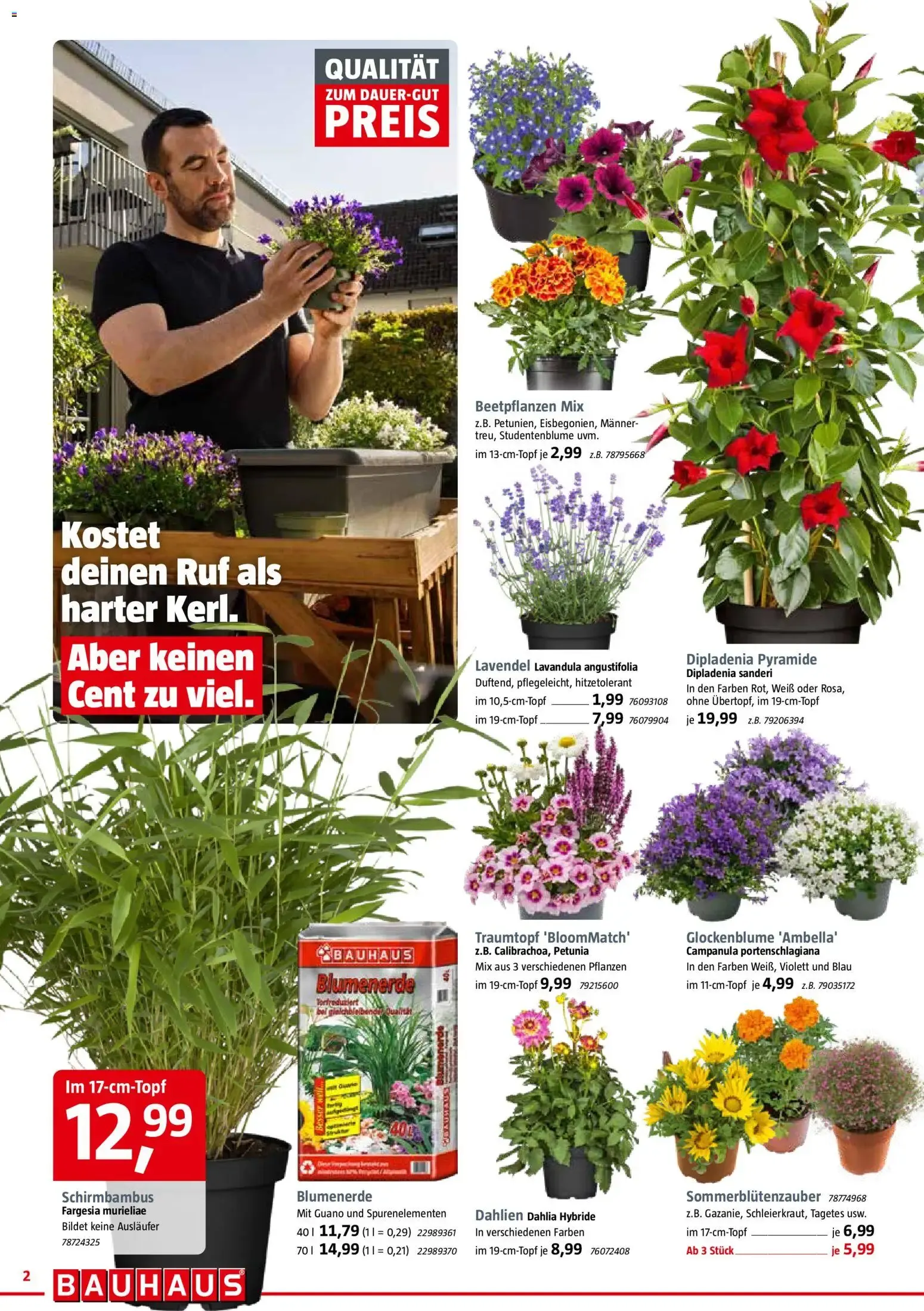 Bauhaus Prospekt (ab 30.05.2026) zum Blättern von 30. Mai bis 13. Juni 2026 - Prospekt seite 2