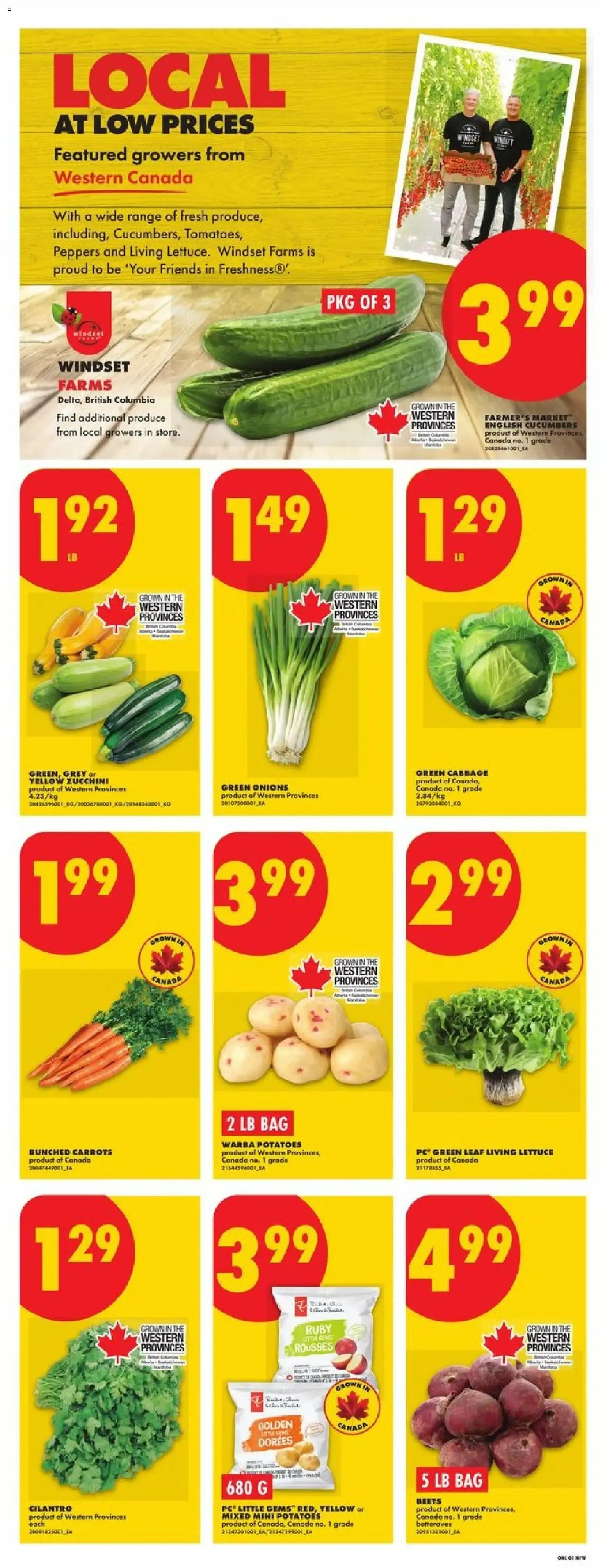 No Frills Hot Summer Sale Flyer from July 16 to July 22 2026 - flyer page 3