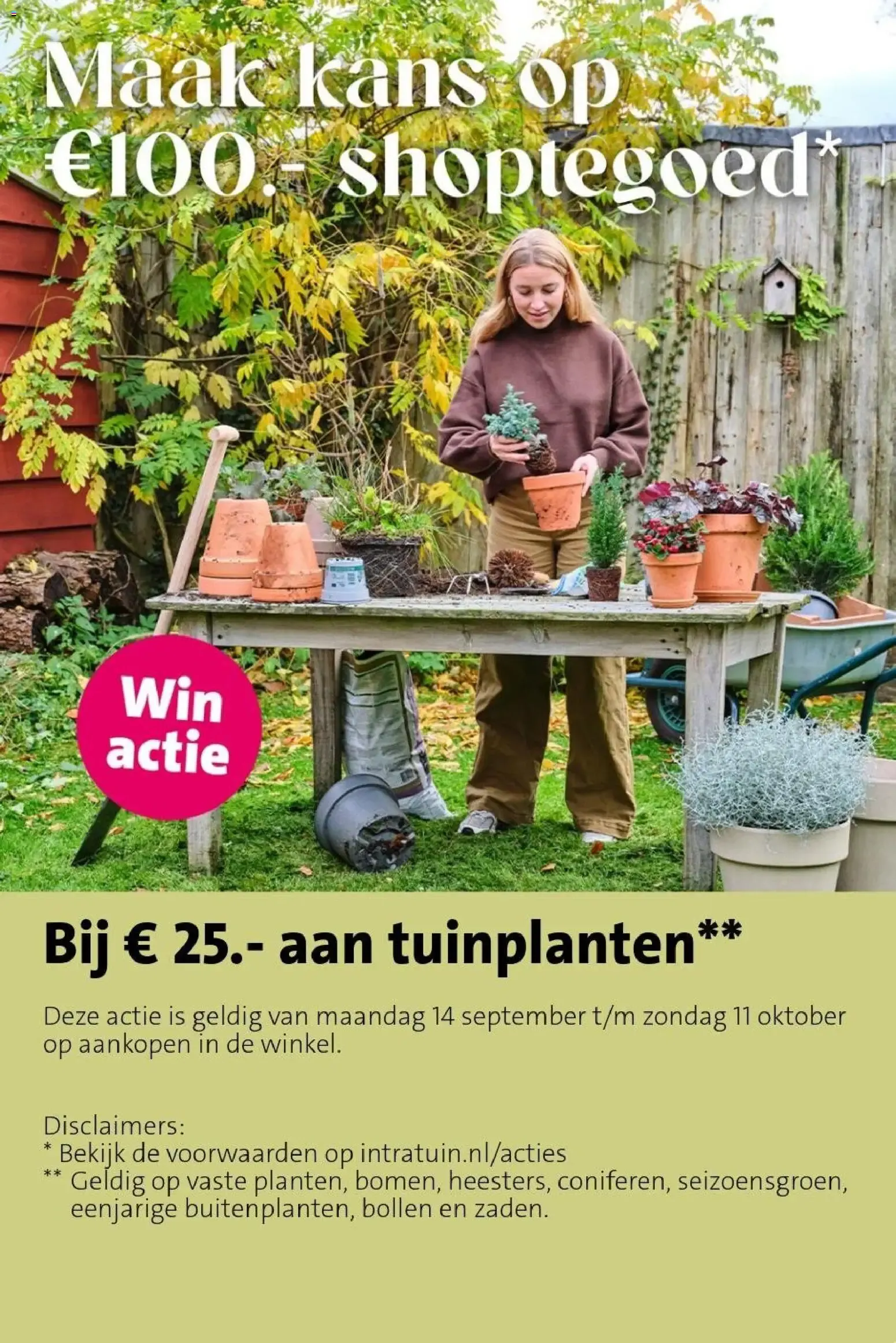 Intratuin: Maak het griezelig gezellig van 5 oktober tot 11 oktober 2026 - Folder pagina 5