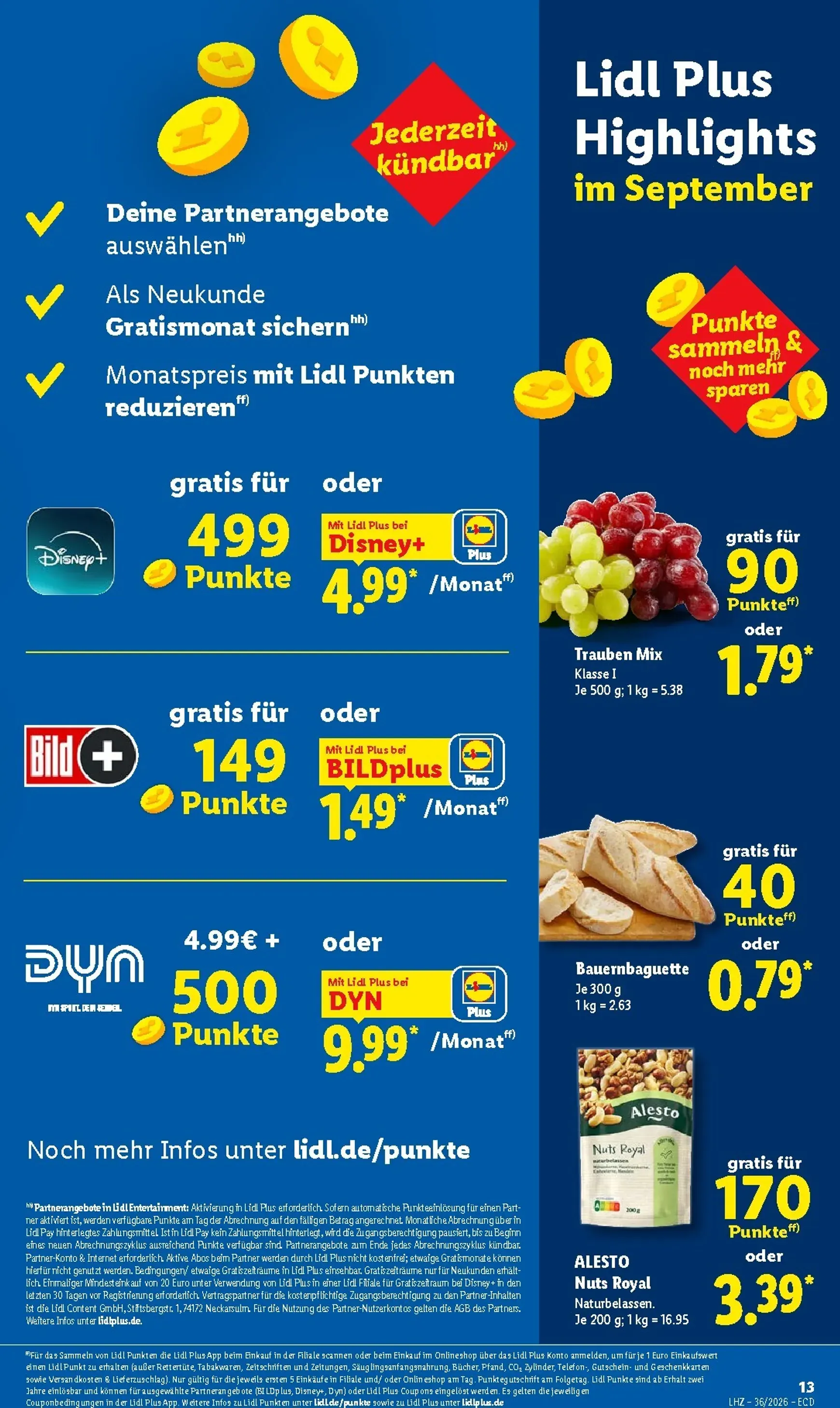 Lidl - Nonfood Prospekt nächste Woche – von Montag 31.08.2026 bis Samstag 05.09.2026 von 31. August bis 5. September 2026 - Prospekt seite 30