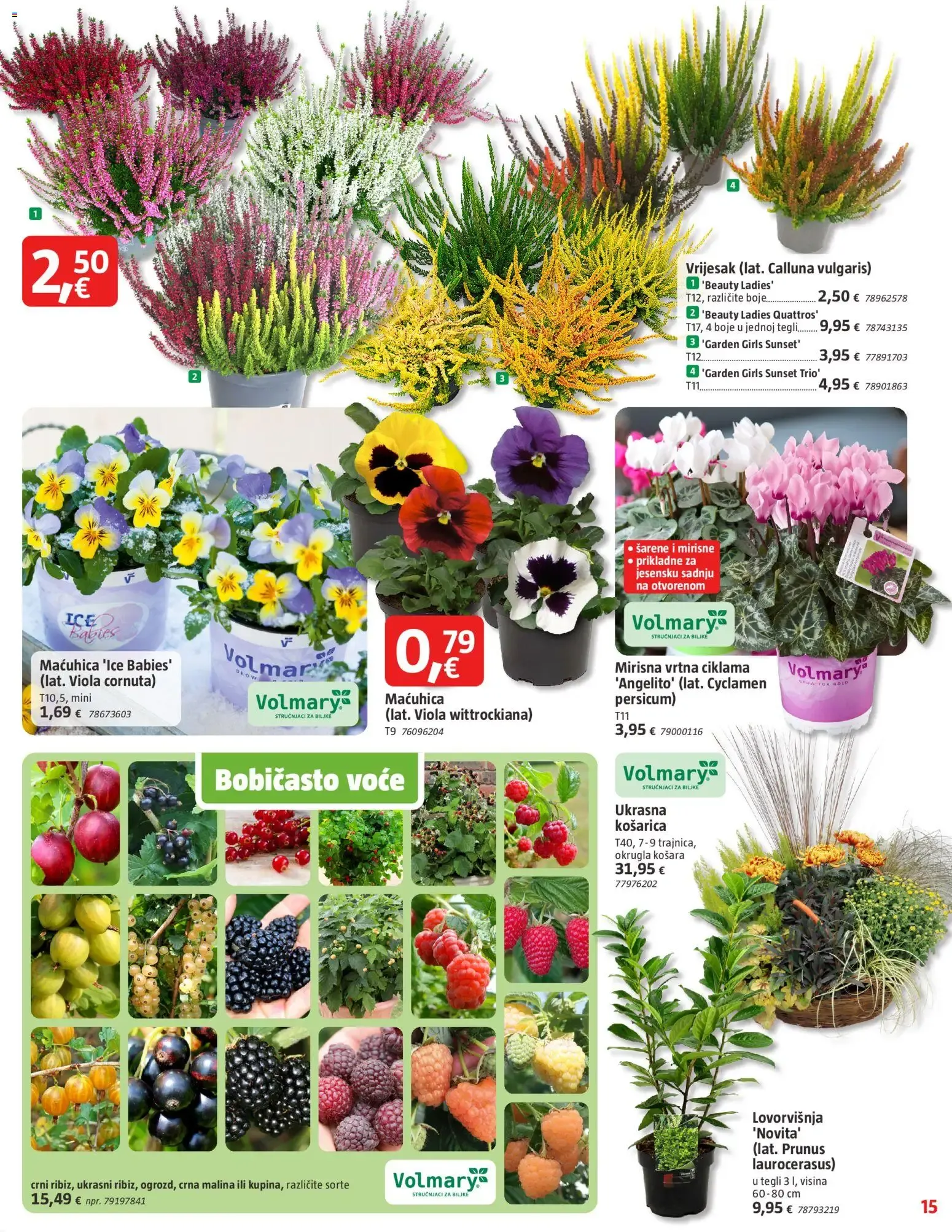 Katalog Bauhaus Katalog novi od 16.09.2026 na listanje > letak digitalni od 16. rujna do 29. rujna 2026. - Pregled Stranica 15
