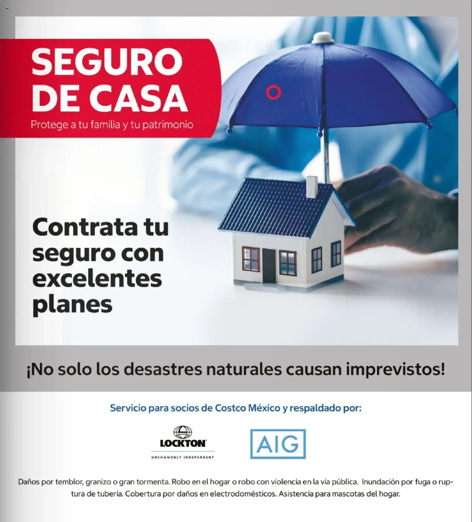 Catálogo de Siete dias de Treasure Hunt Fest 26 de octubre al 1 de noviembre 2026 - Pagina 15