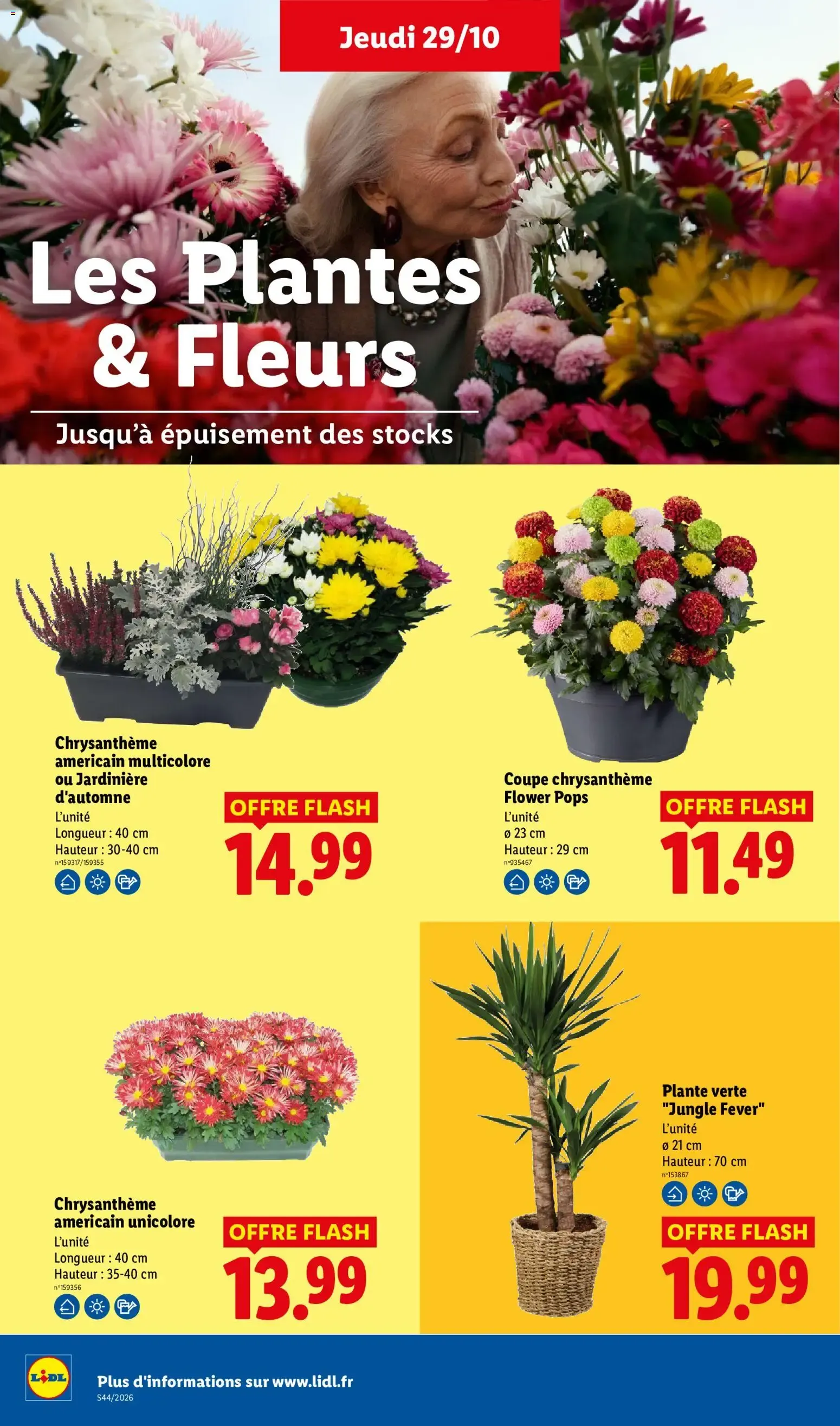 LIDL: Faites briller les fêtes à prix minis ! du 29 octobre au 4 novembre 2026 - Catalogue page 32