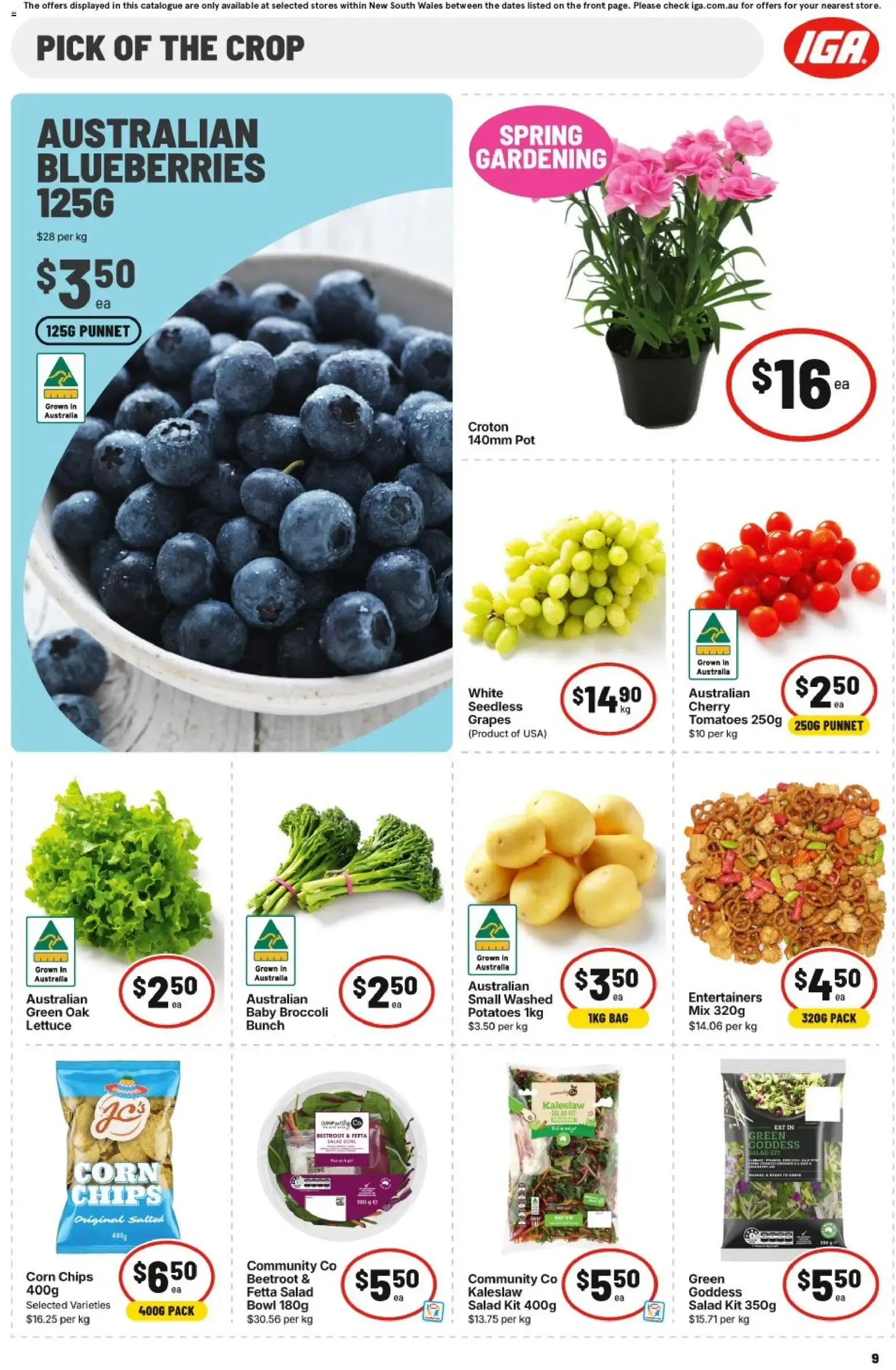 IGA catalogue valid from 16/09/2026 > Online Australia - Catalogue valid from 16 September to 22 September 2026 - page 10